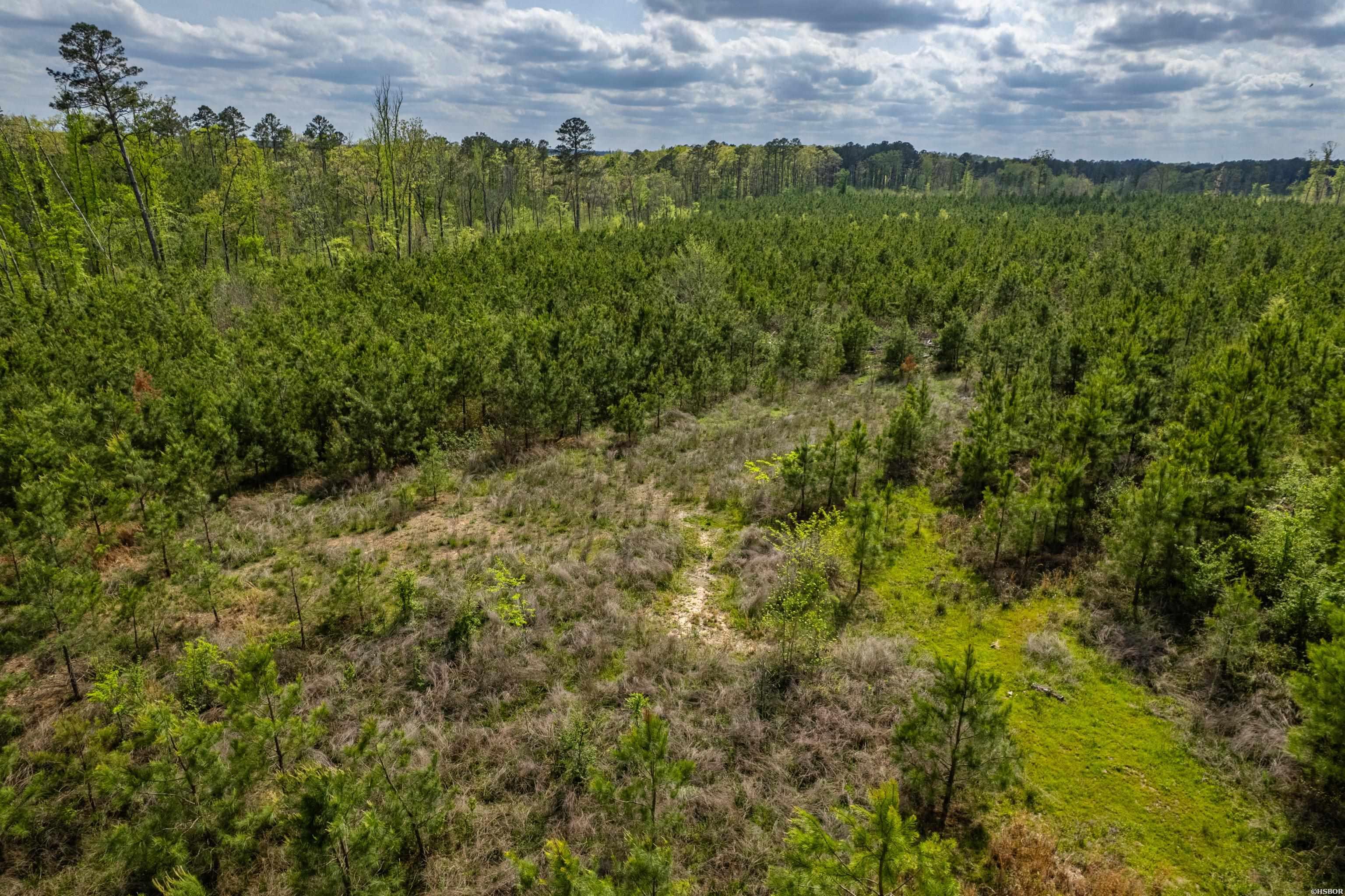 Xxx Beech Property Photo 7