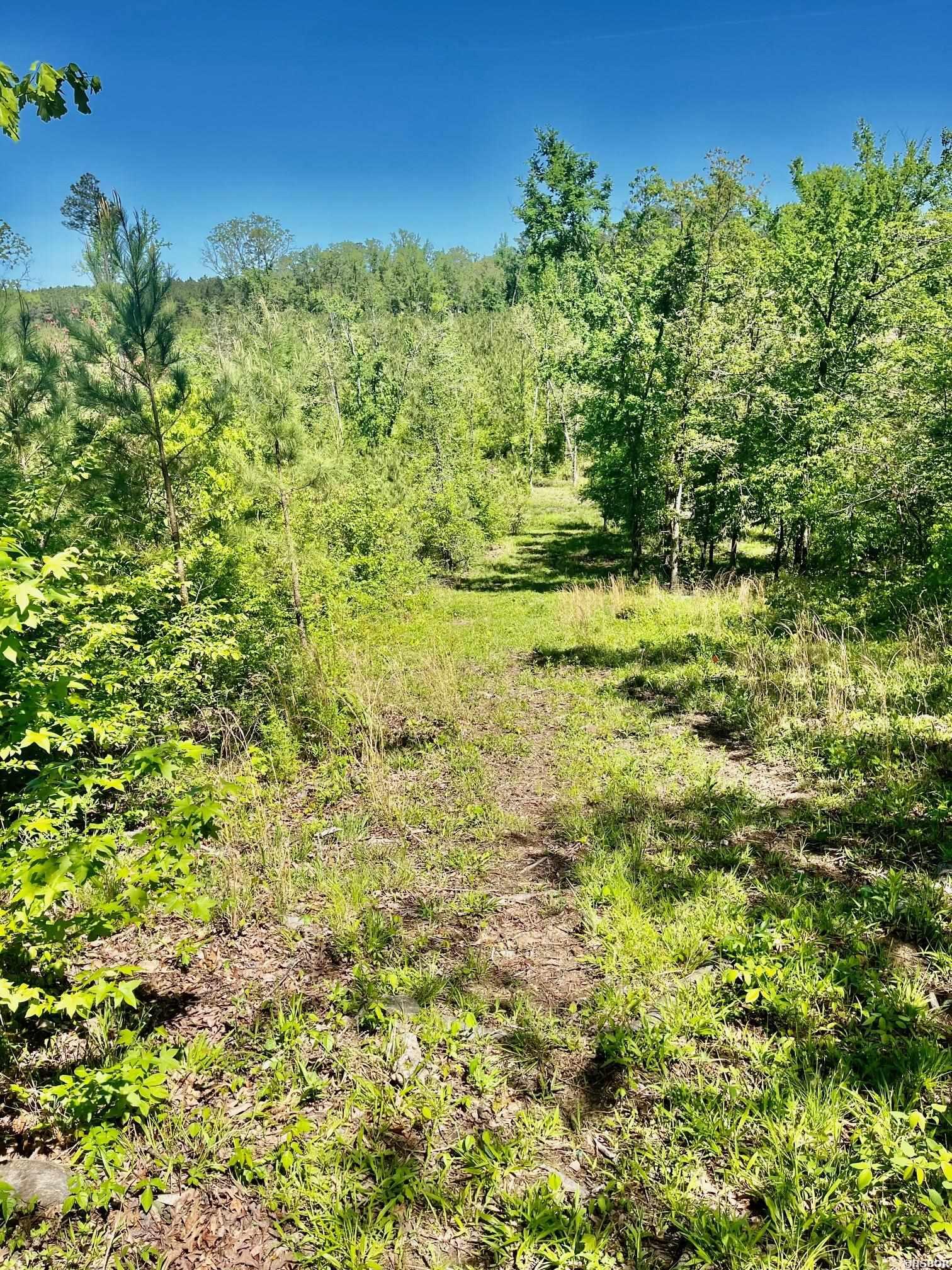 Xxx Beech Property Photo 10