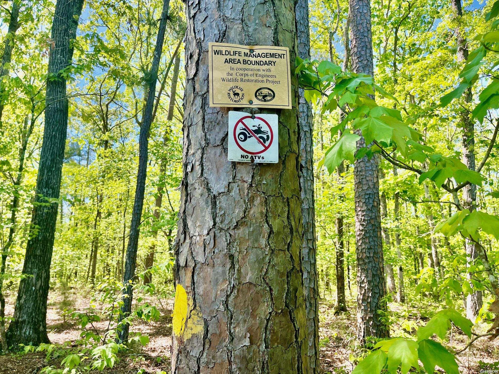 Xxx Beech Property Photo 12