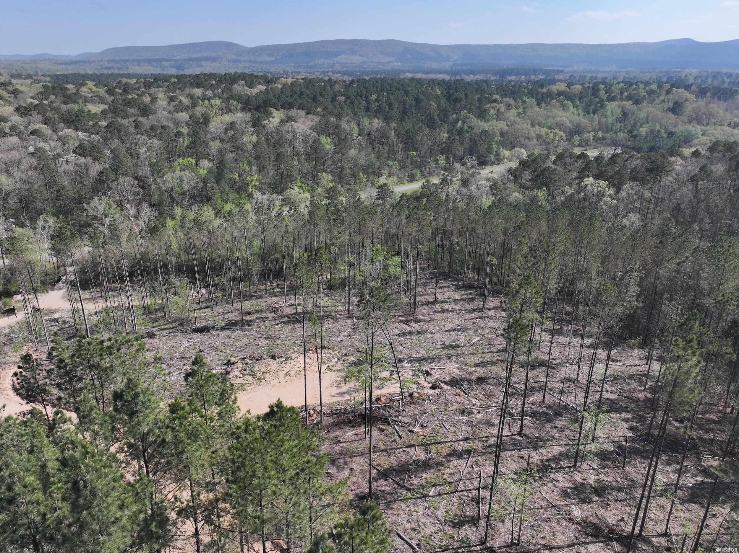 14 Palmer Mountain Property Photo 14