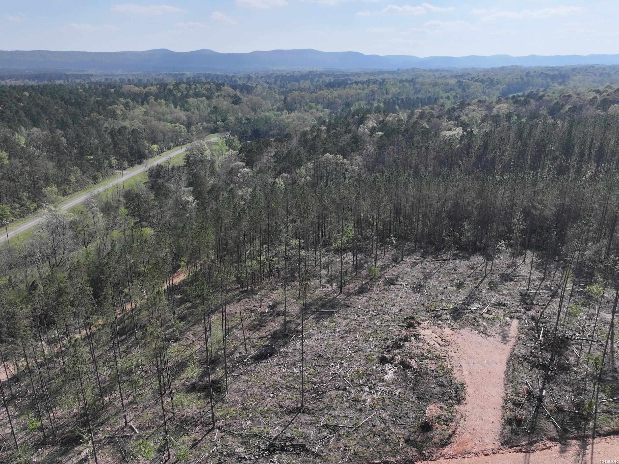14 Palmer Mountain Property Photo 15