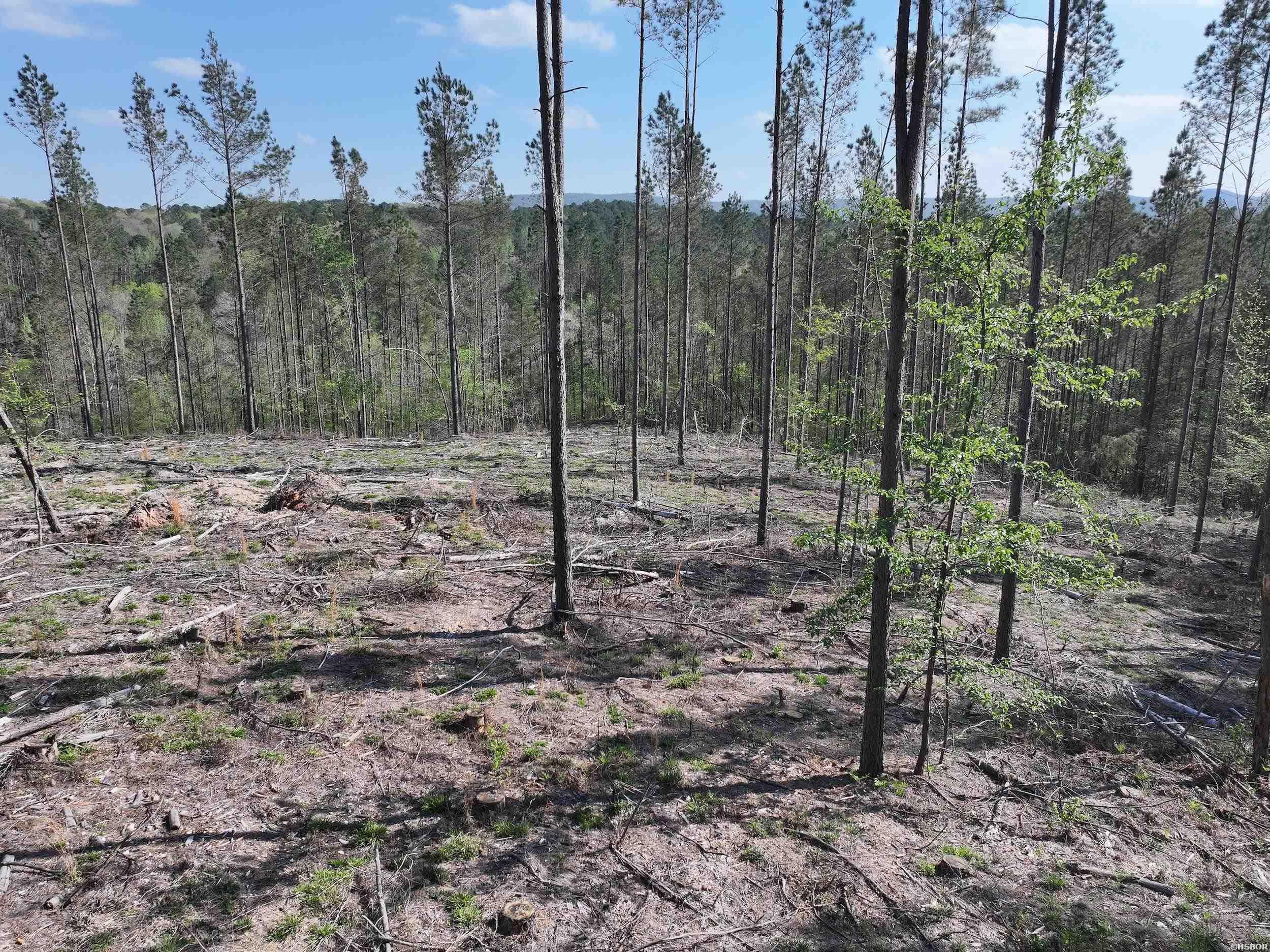 14 Palmer Mountain Property Photo 23