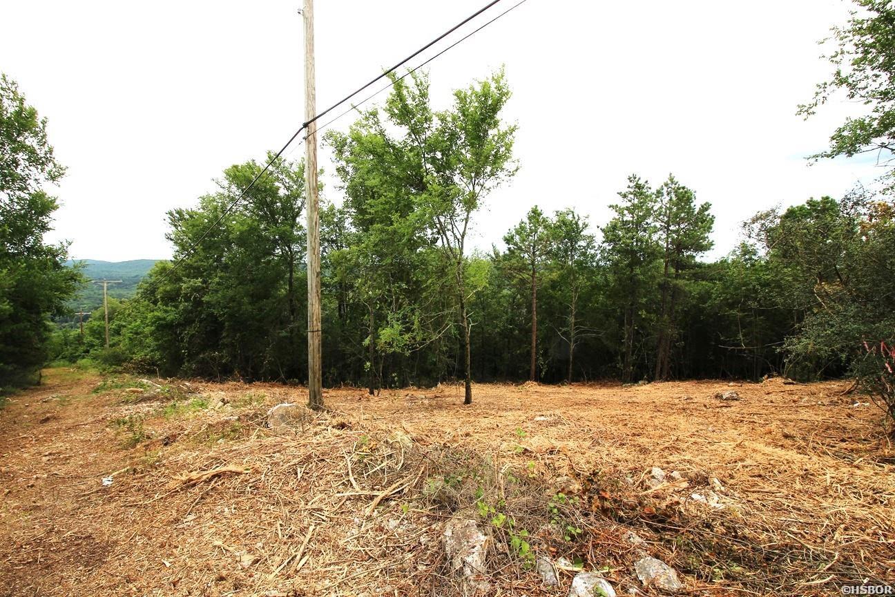 00 Mt Riante Road Property Photo 4