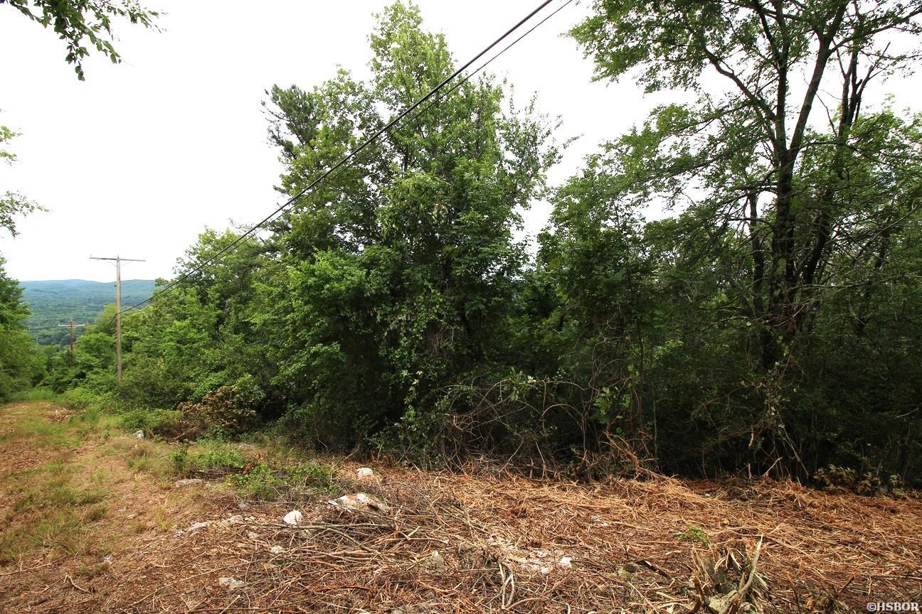 00 Mt Riante Road Property Photo 8