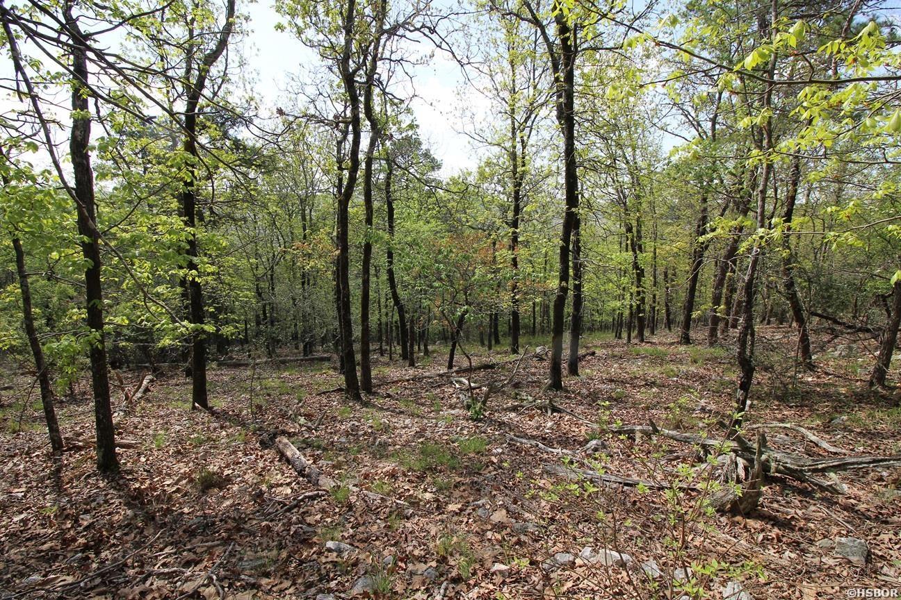 00 Mt Riante Road Property Photo 13