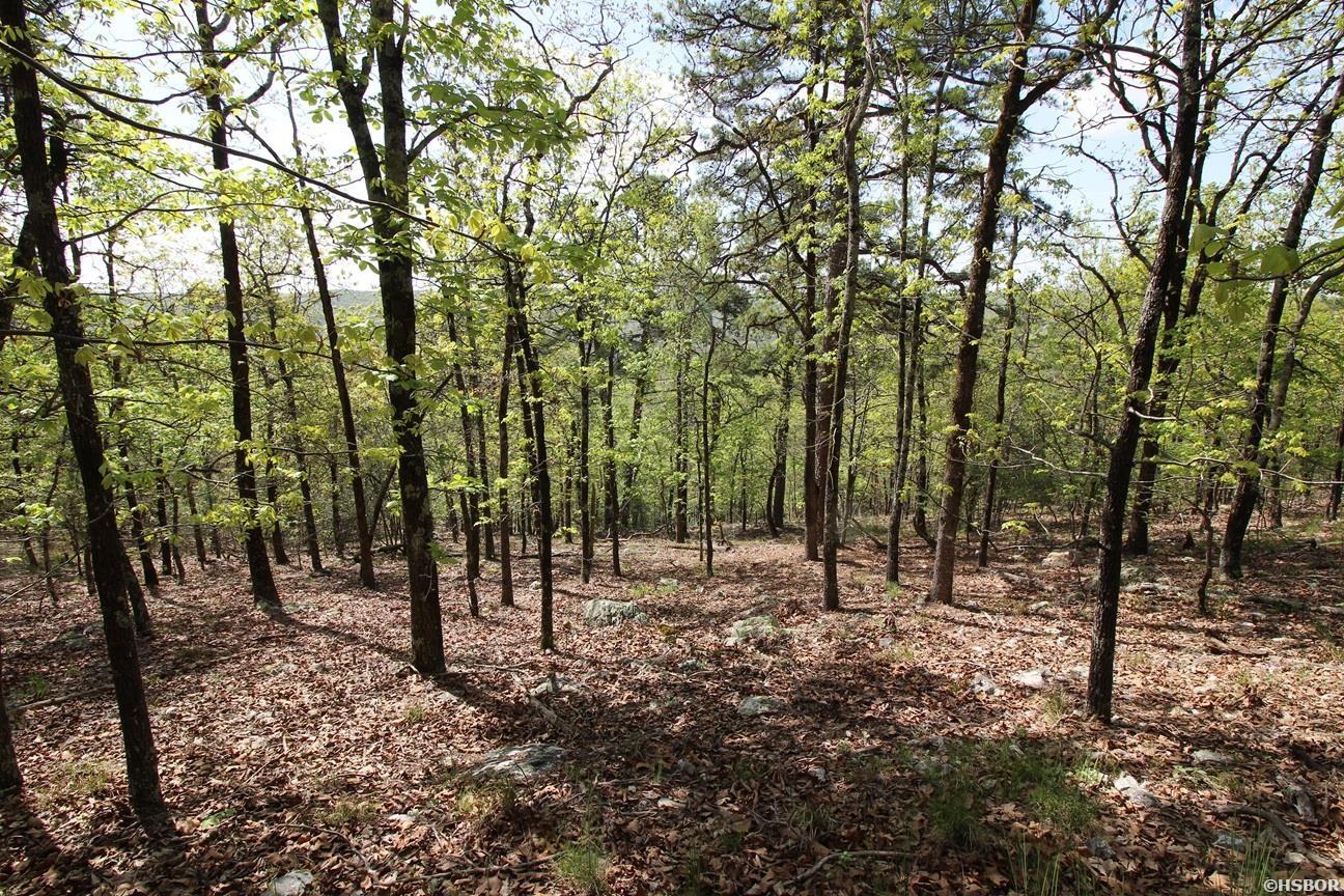 00 Mt Riante Road Property Photo 14
