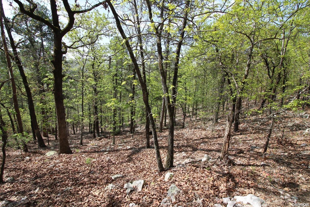00 Mt Riante Road Property Photo 15