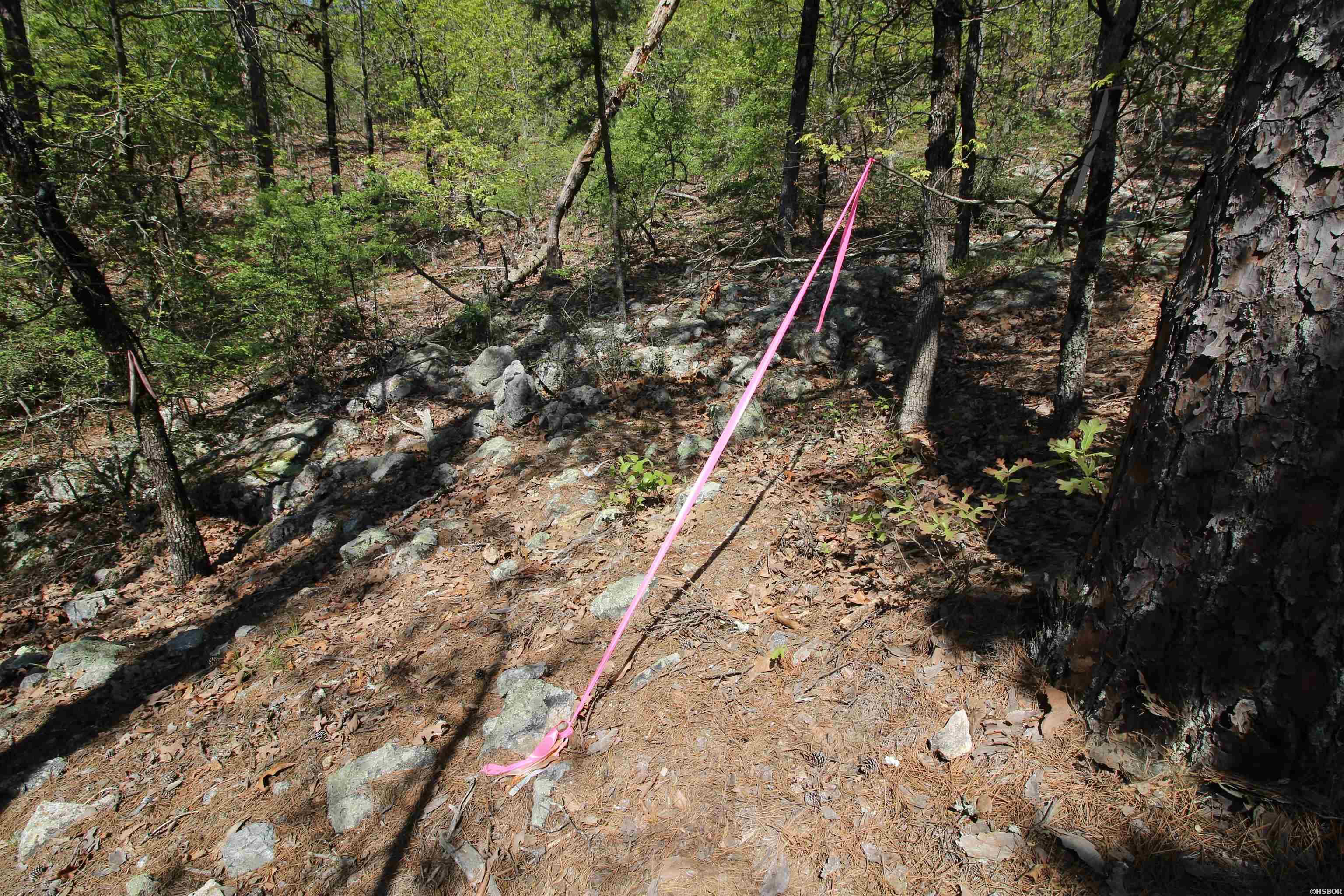 00 Mt Riante Road Property Photo 18