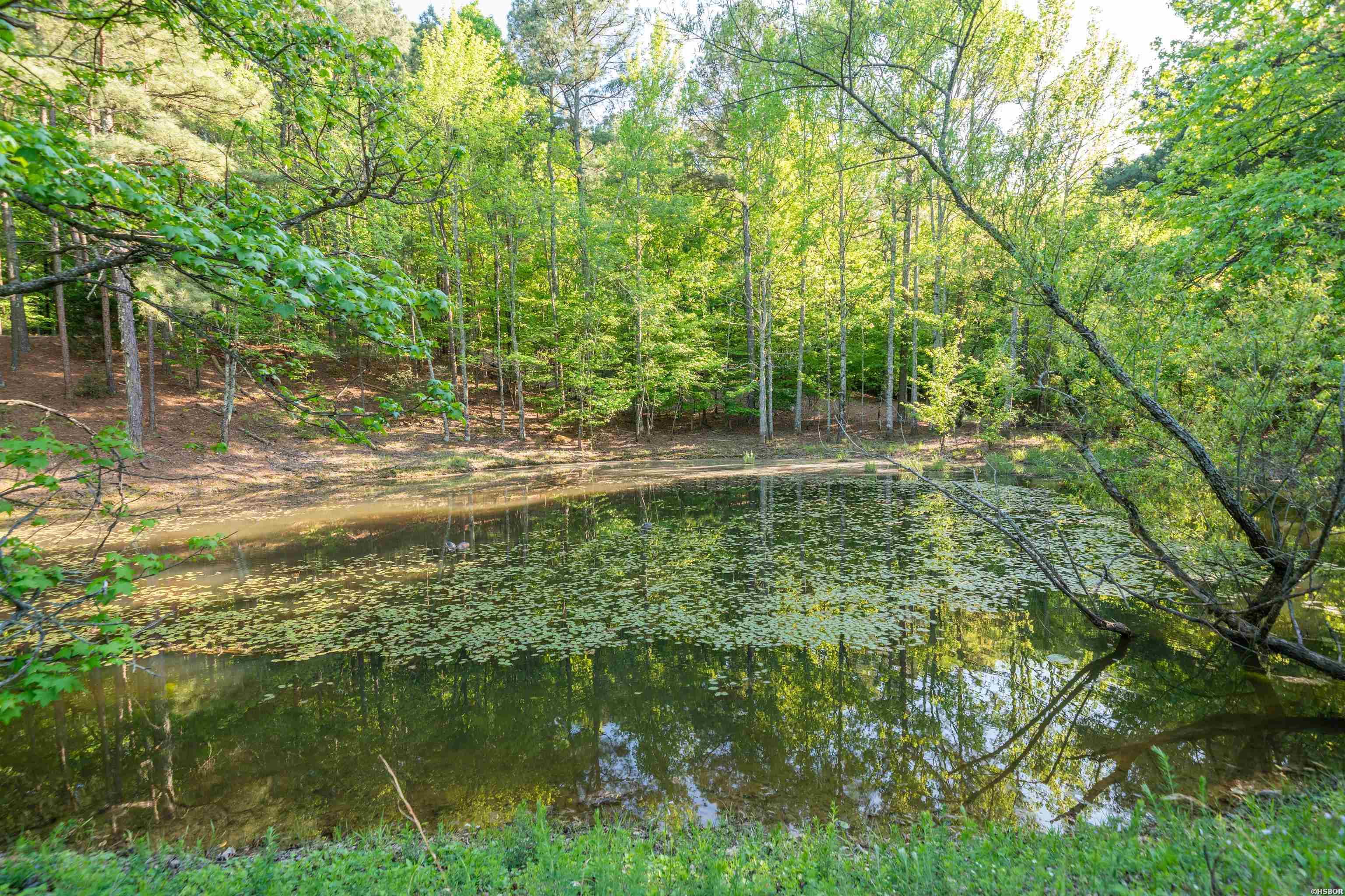 356 Trap Mountain Road Property Photo 4
