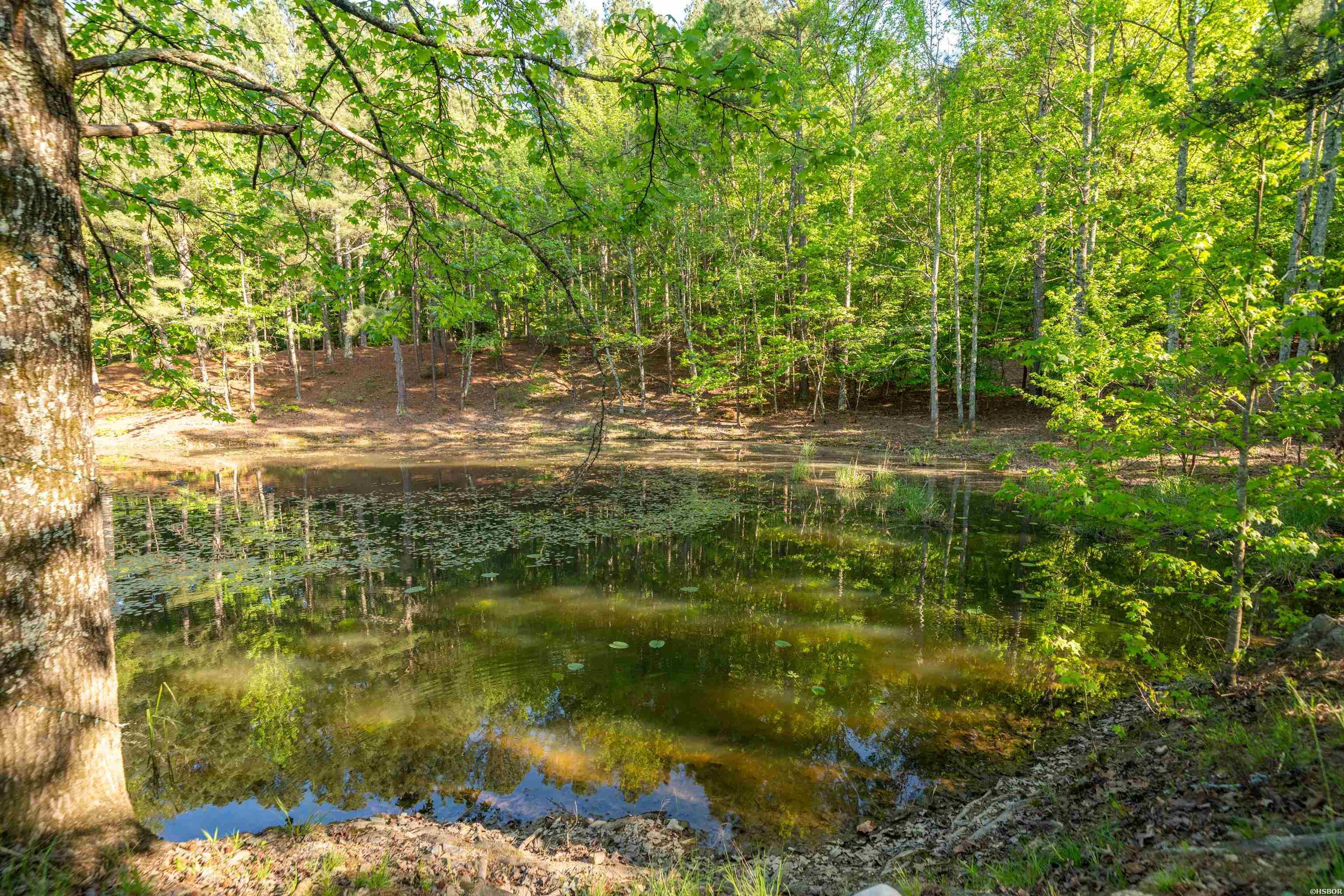 356 Trap Mountain Road Property Photo 5