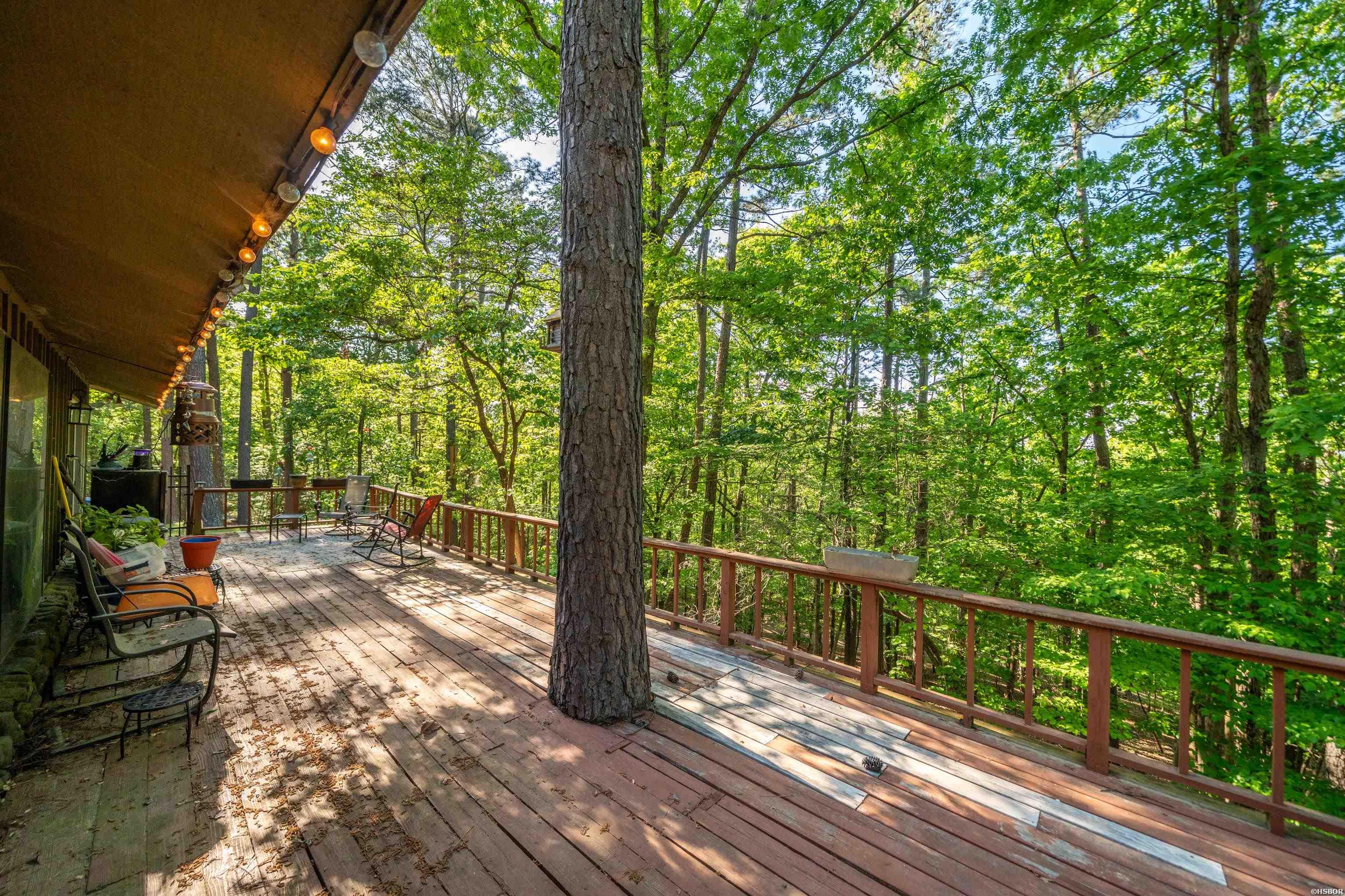 356 Trap Mountain Road Property Photo 34
