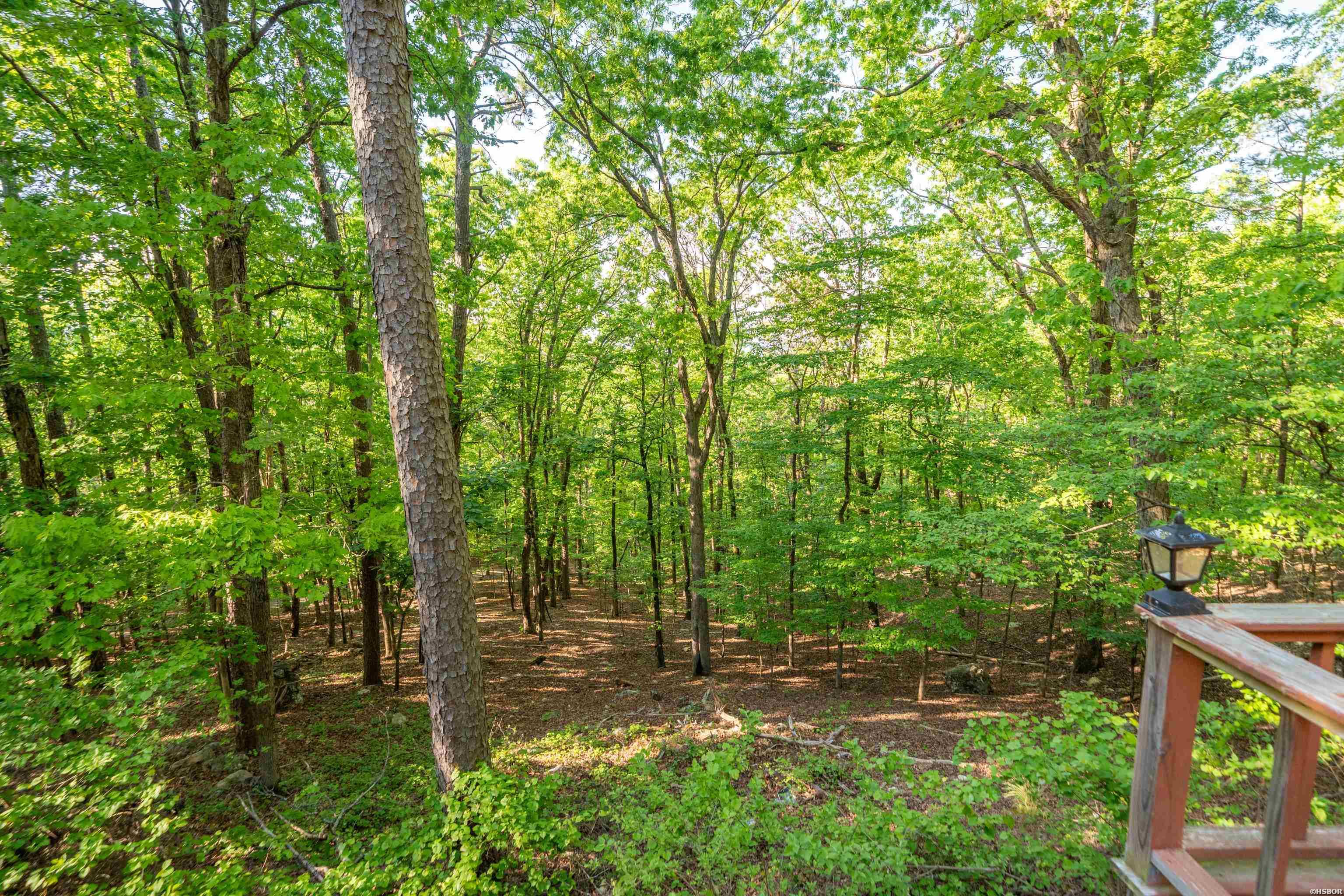 356 Trap Mountain Road Property Photo 36