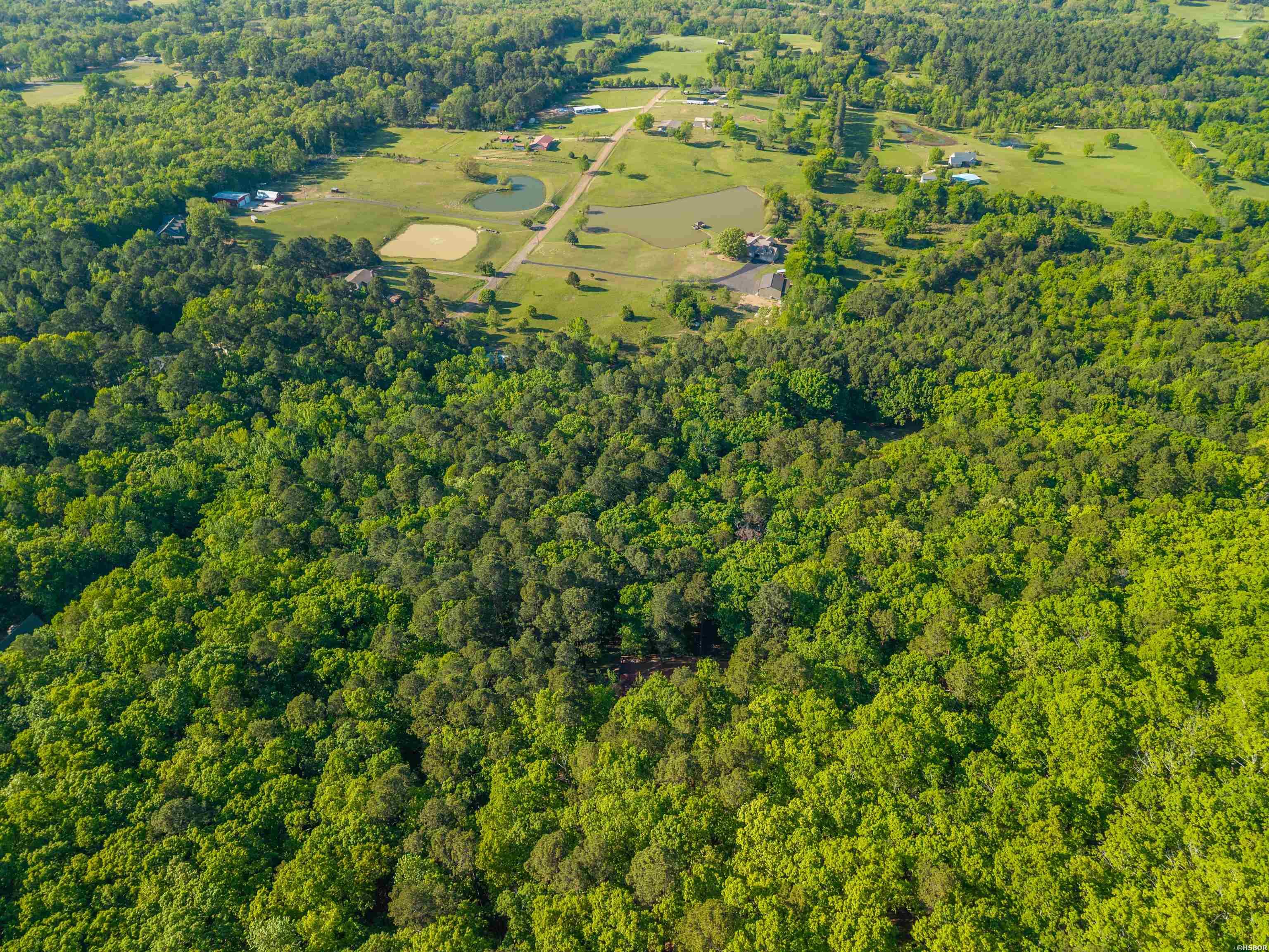 356 Trap Mountain Road Property Photo 44