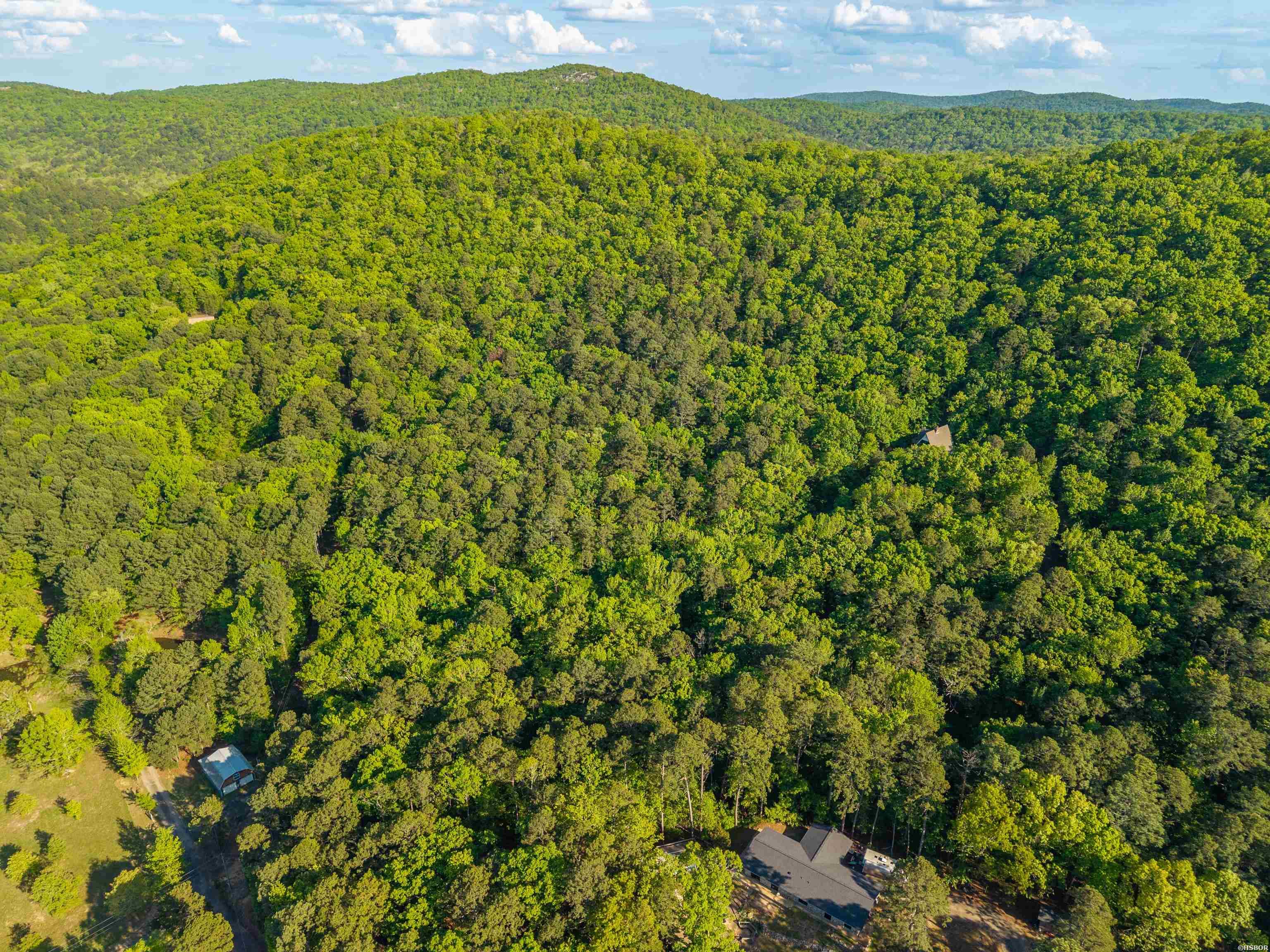 356 Trap Mountain Road Property Photo 48