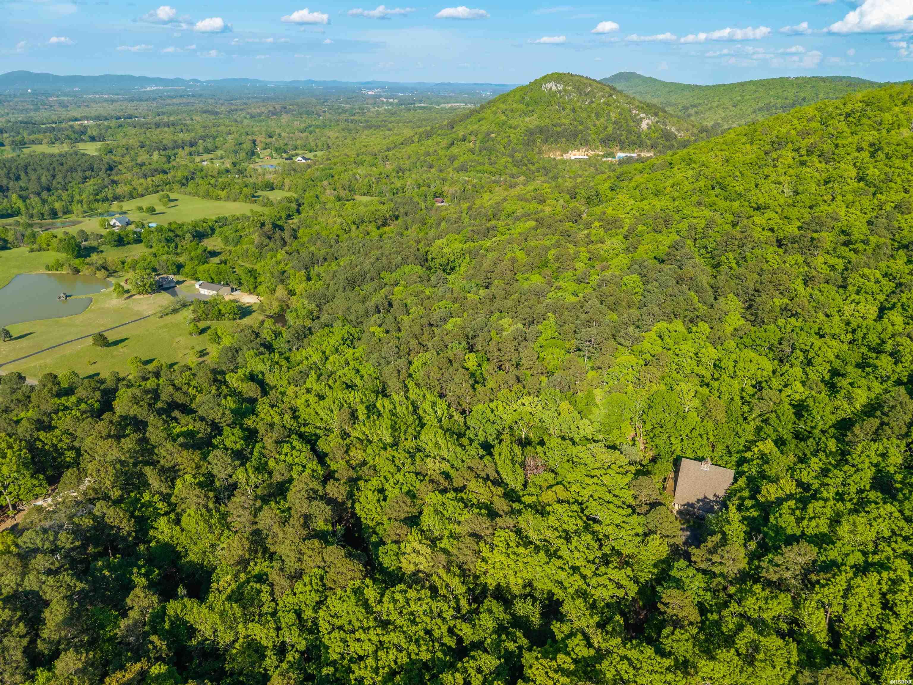 356 Trap Mountain Road Property Photo 49
