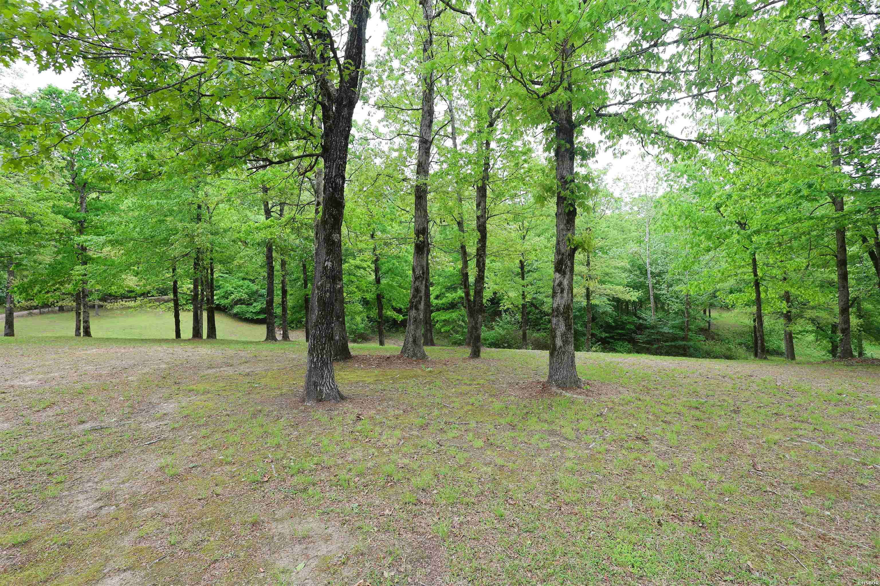 4 River Watch Lane Property Photo 43