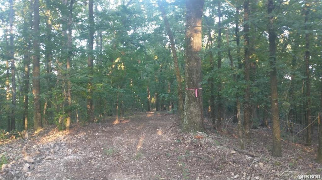 Lot Q Hwy 8 E Property Photo 3