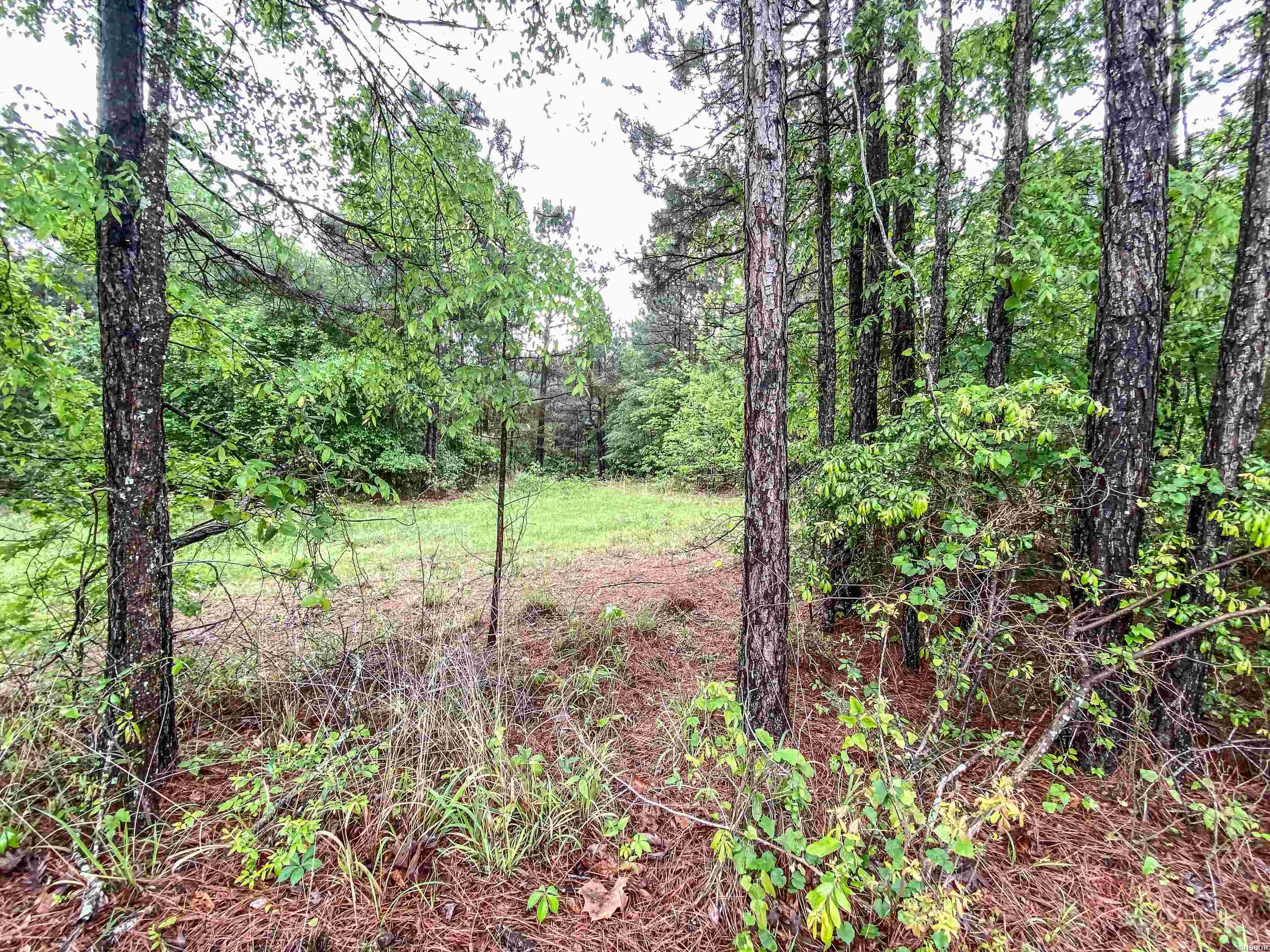 1801 Edgewood Drive Property Photo 5