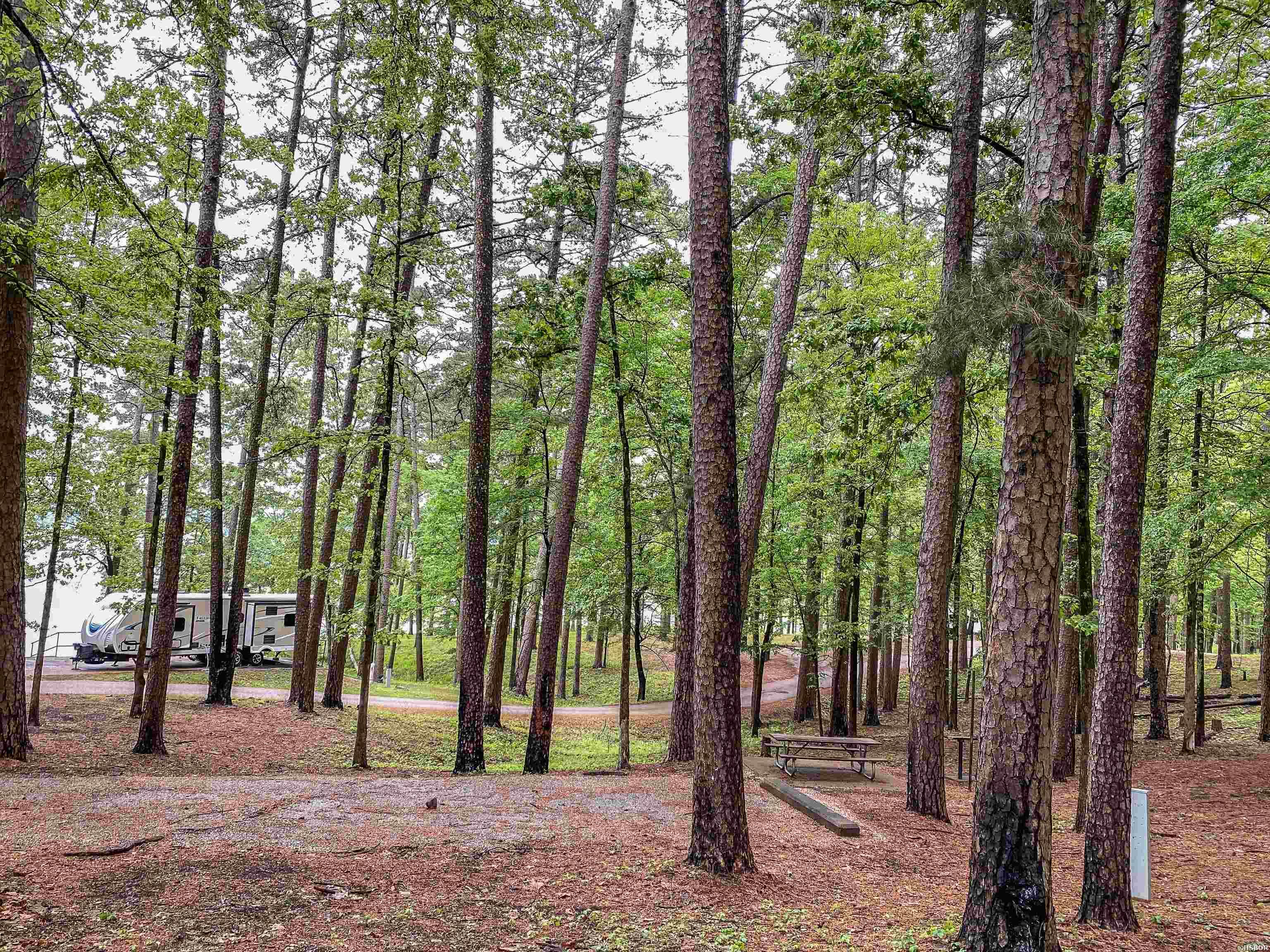 1801 Edgewood Drive Property Photo 21