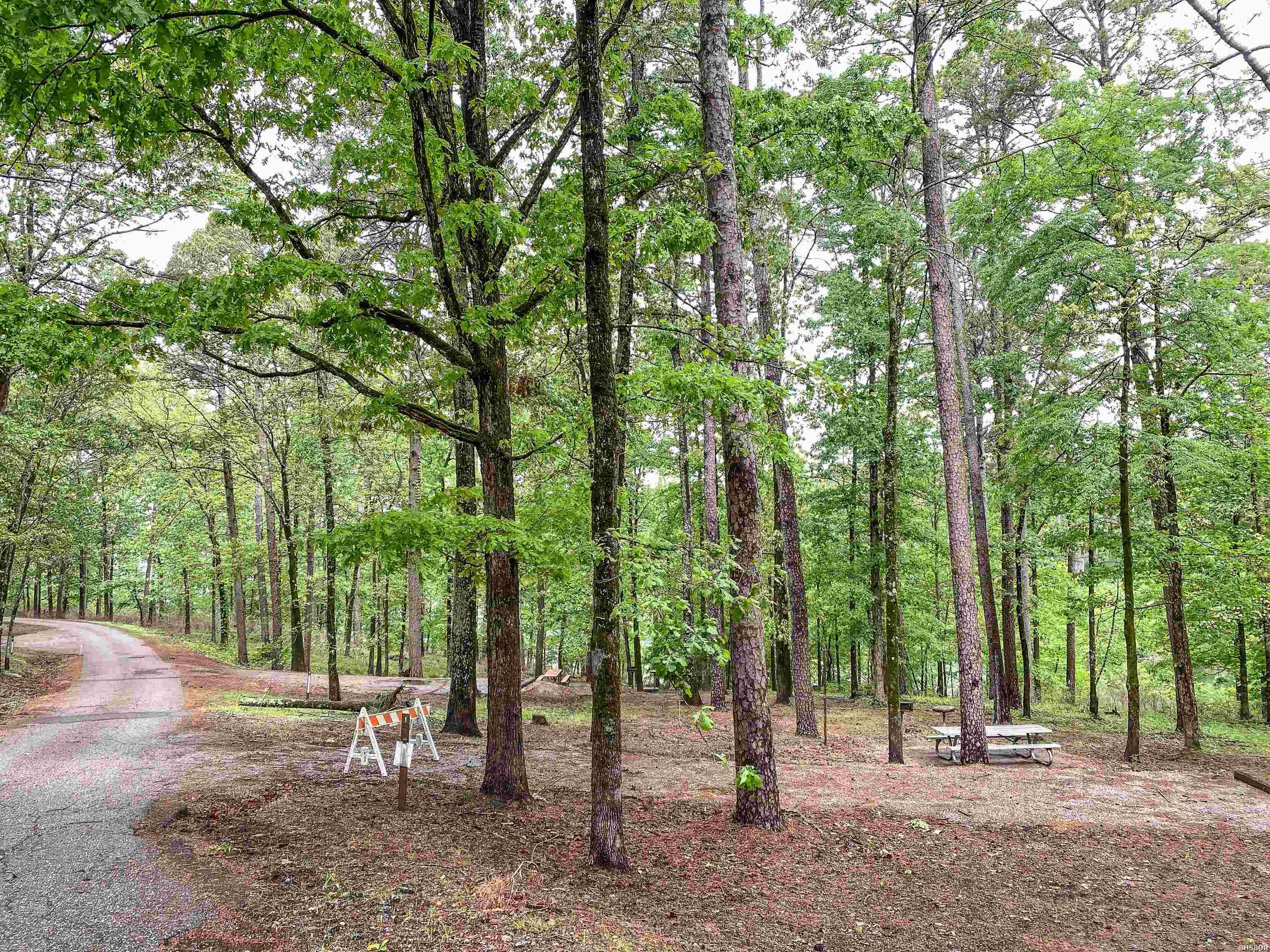 1801 Edgewood Drive Property Photo 22
