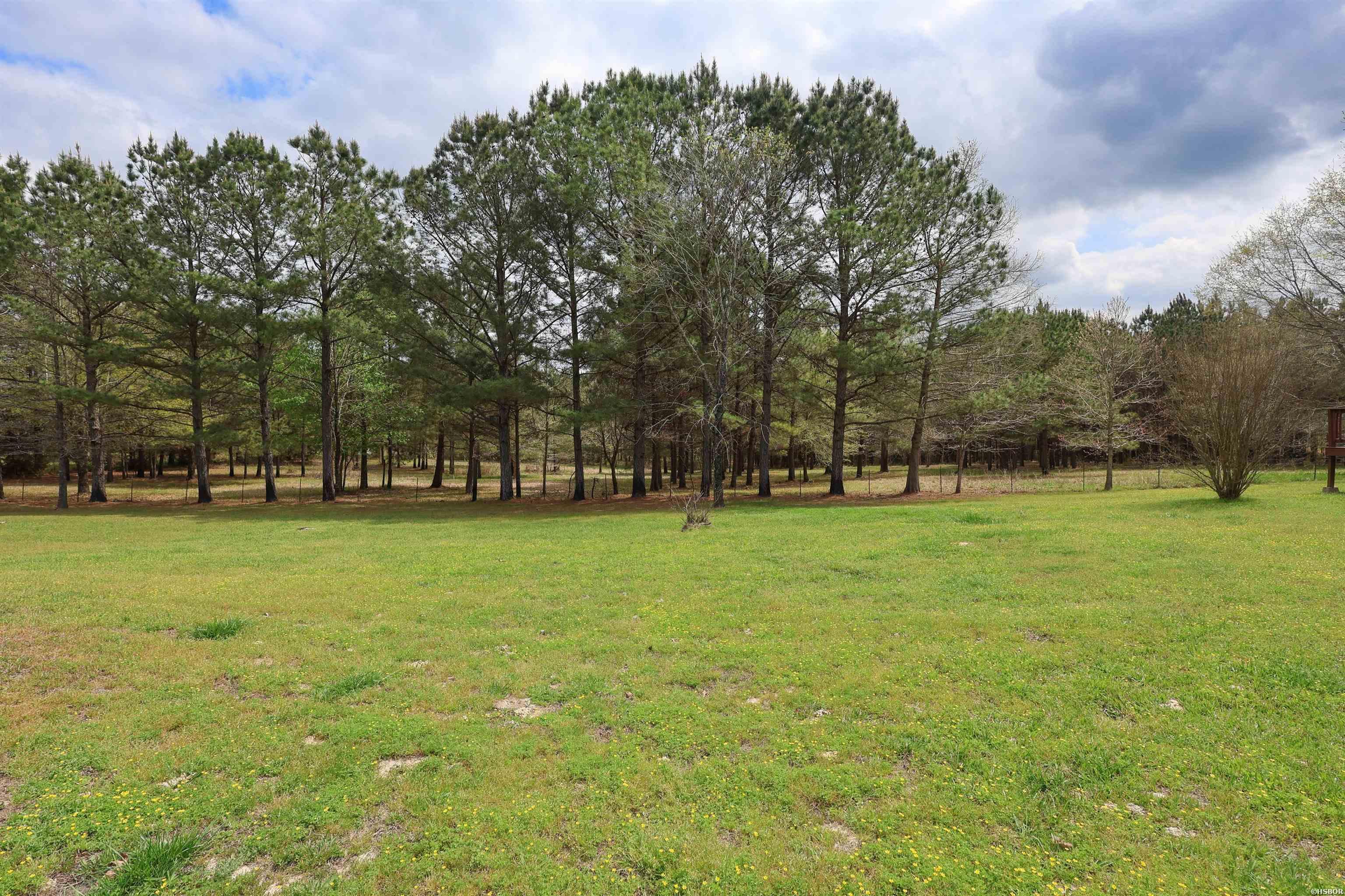 90 Marion Riley Road Property Photo 43