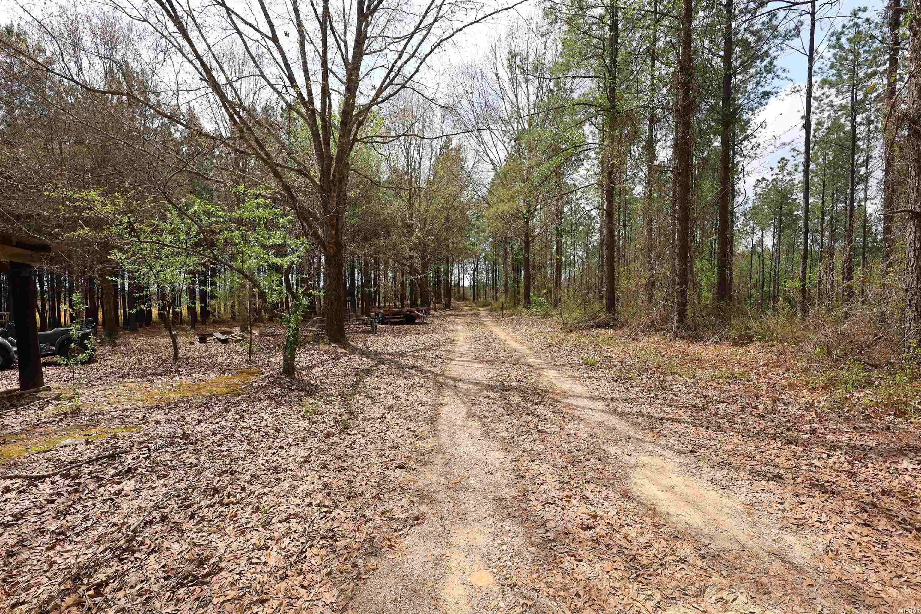 90 Marion Riley Road Property Photo 44