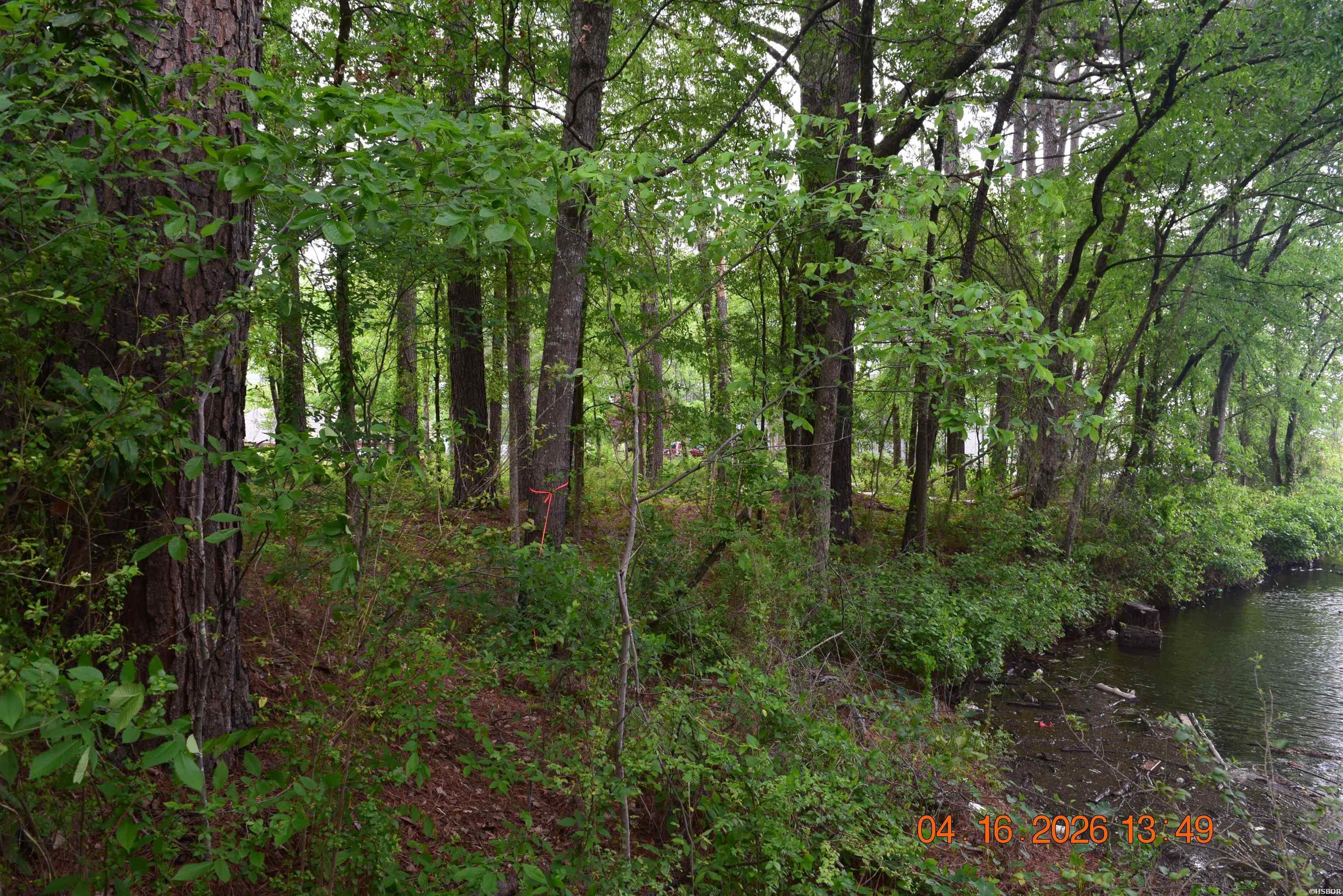 Xxx Big Duke Property Photo 3