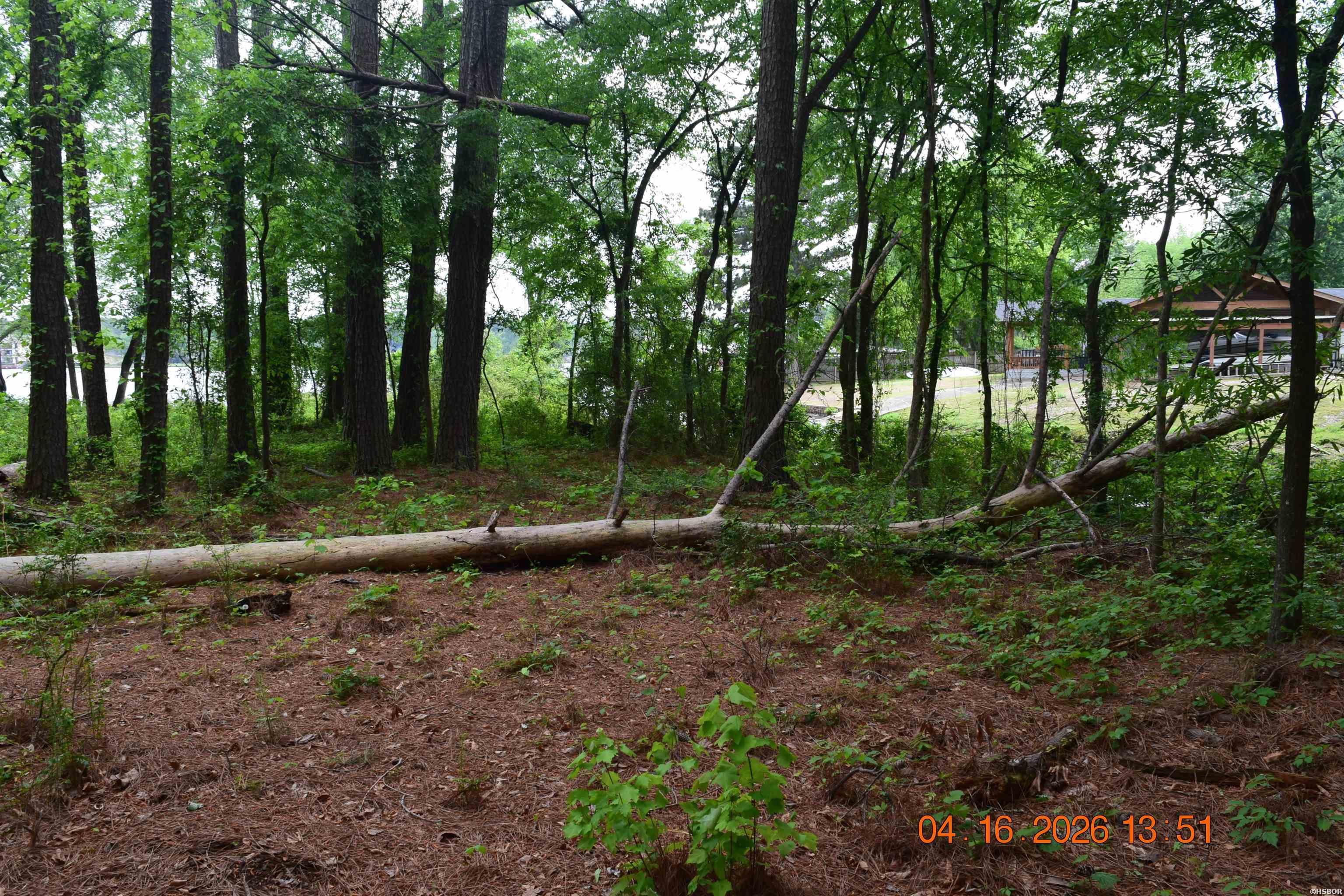 Xxx Big Duke Property Photo 7