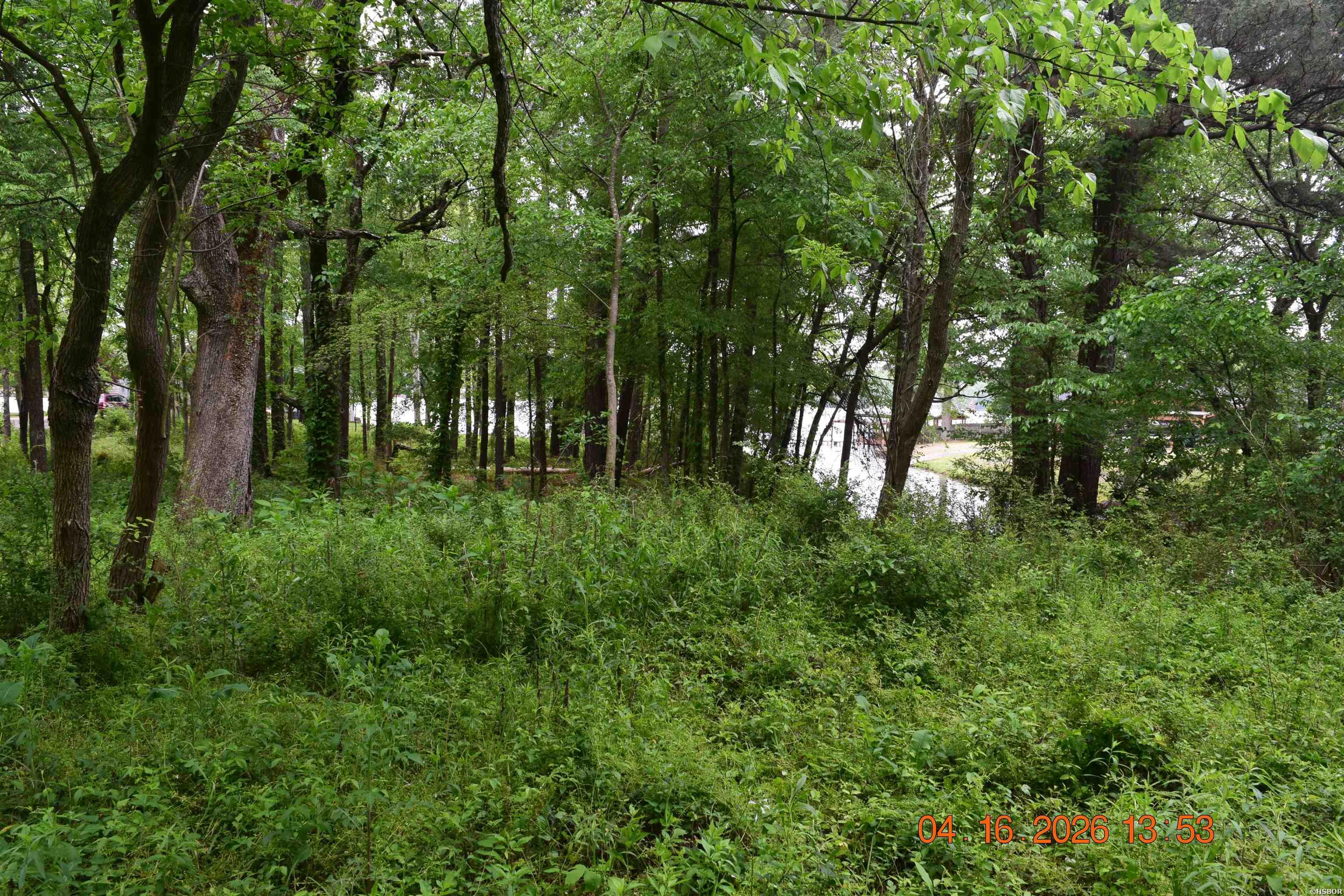 Xxx Big Duke Property Photo 8