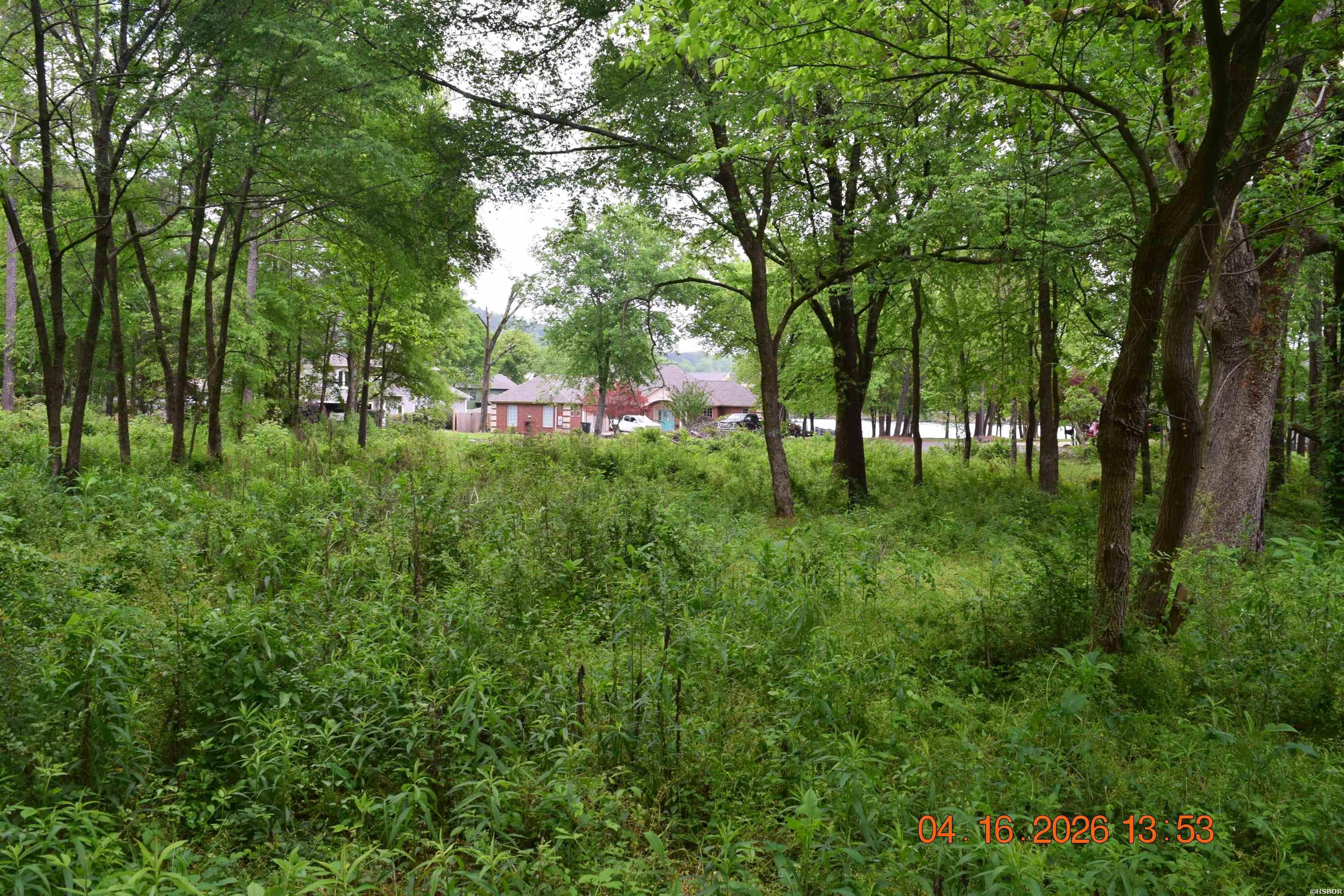 Xxx Big Duke Property Photo 9