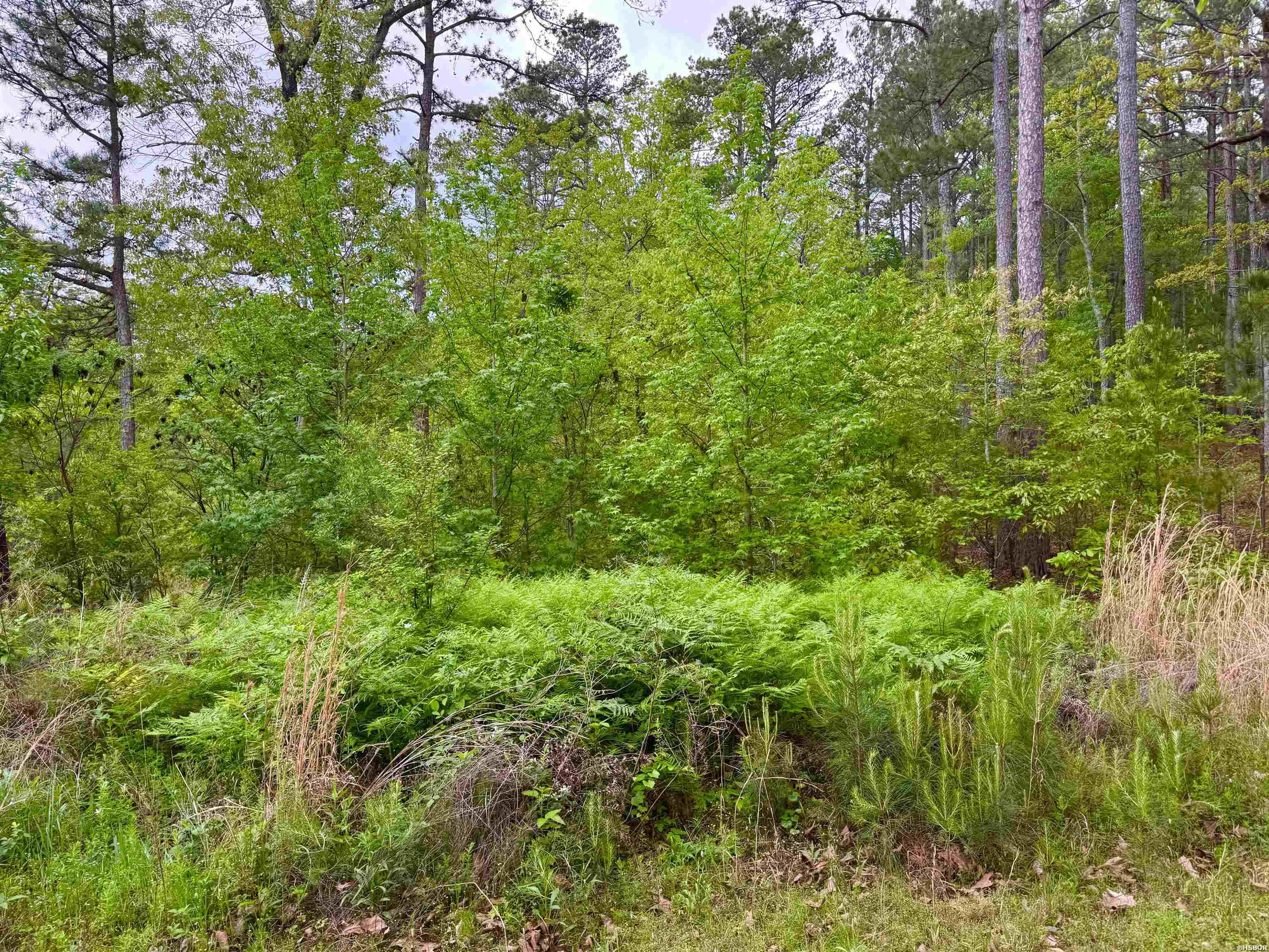 Vacant Land Doubloon Circle Property Photo 2