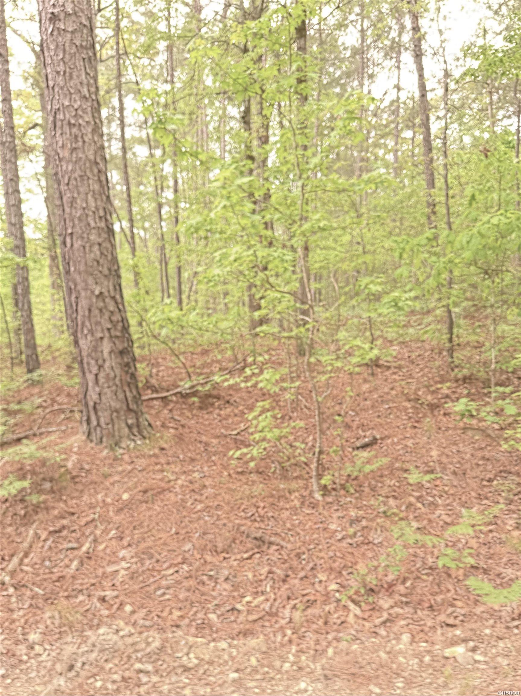 Vacant Land Doubloon Circle Property Photo 6