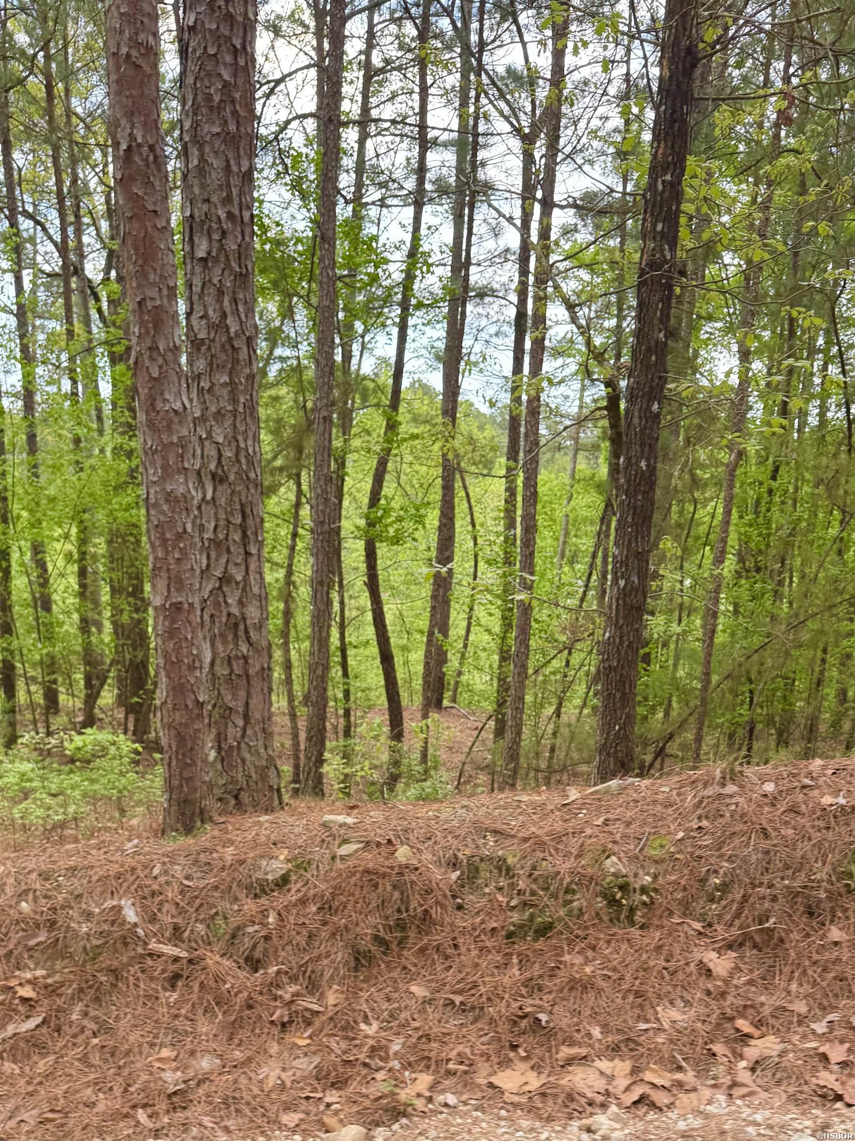 Vacant Land Doubloon Circle Property Photo 9