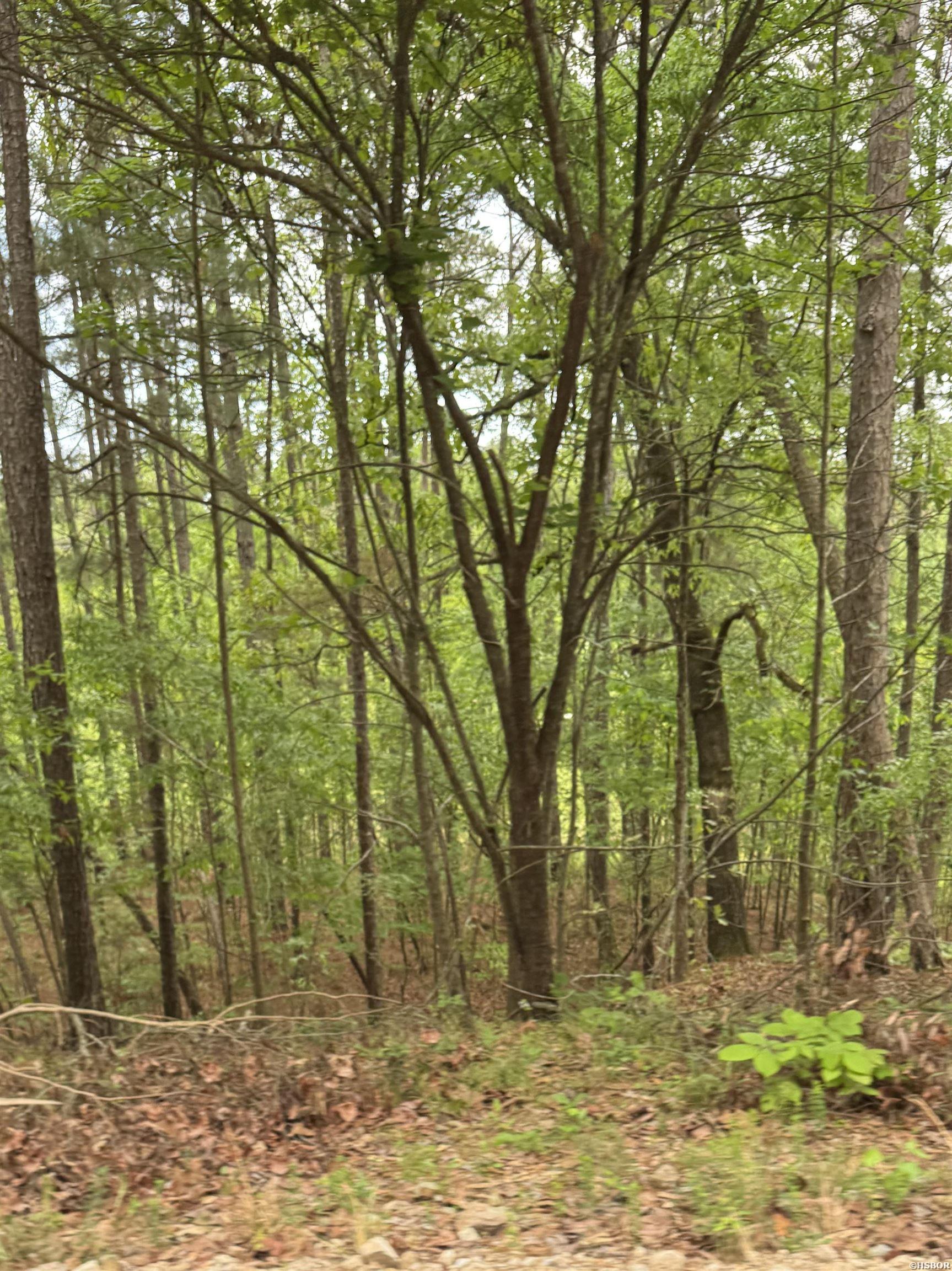Vacant Land Doubloon Circle Property Photo 10