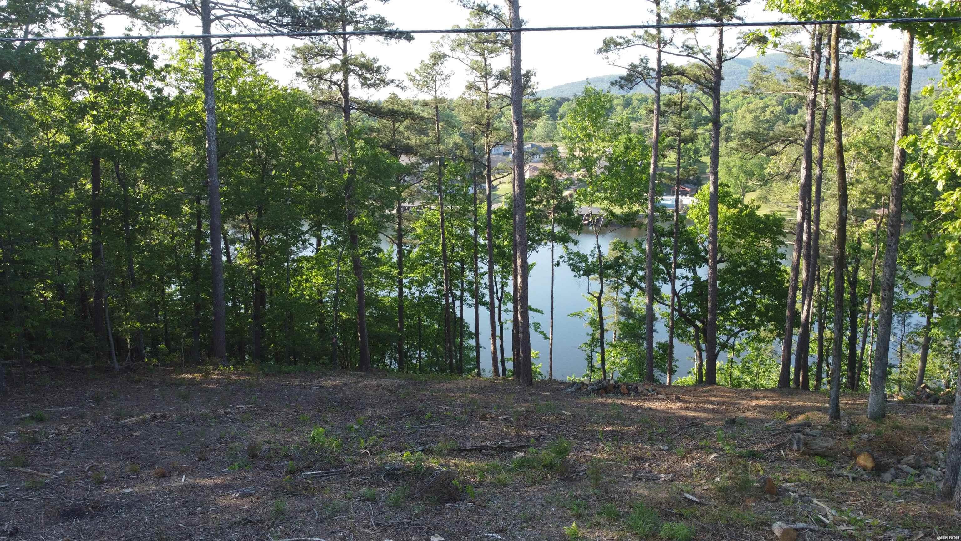 000a Lakeshore Property Photo 3