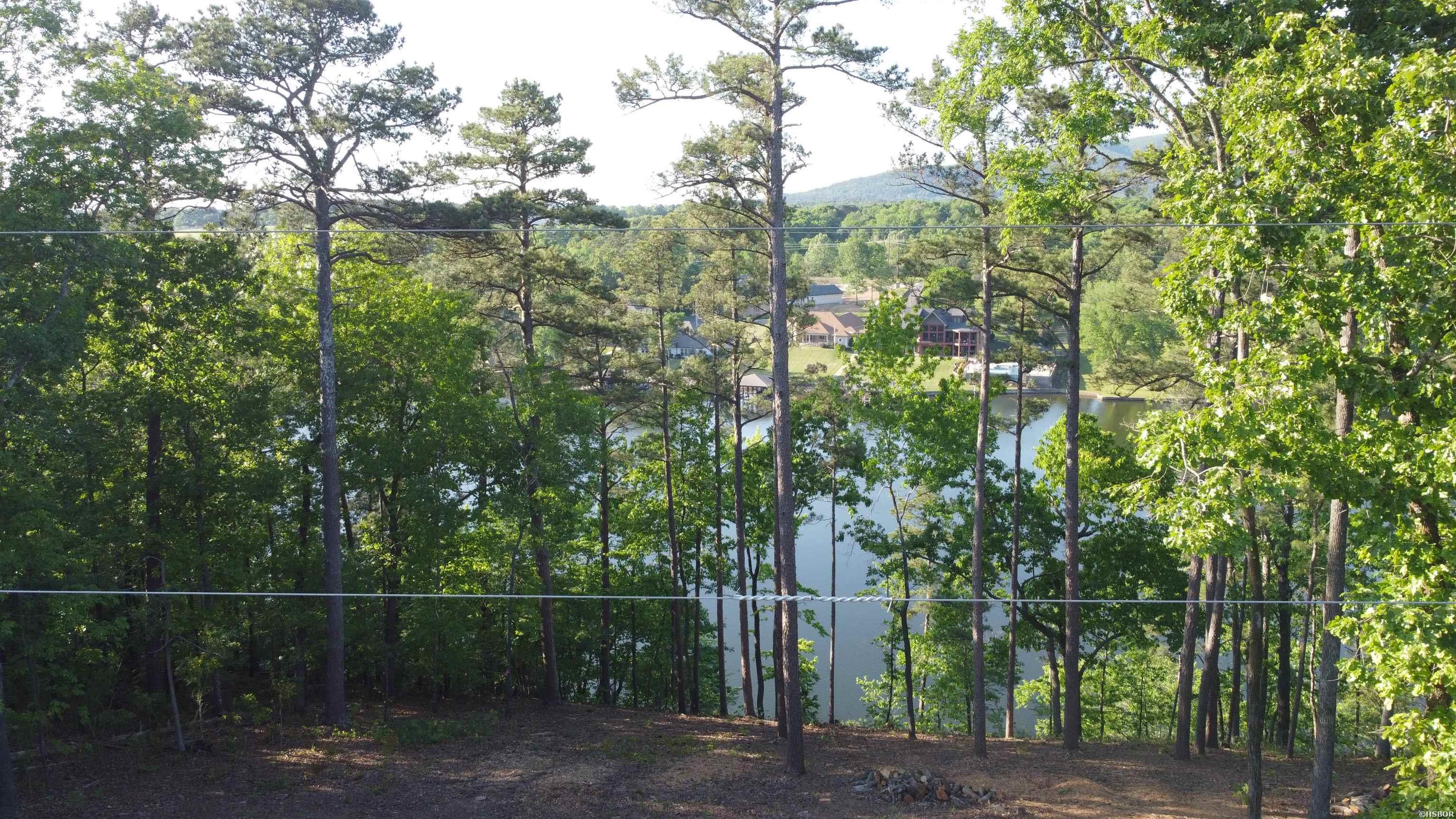 000a Lakeshore Property Photo 9