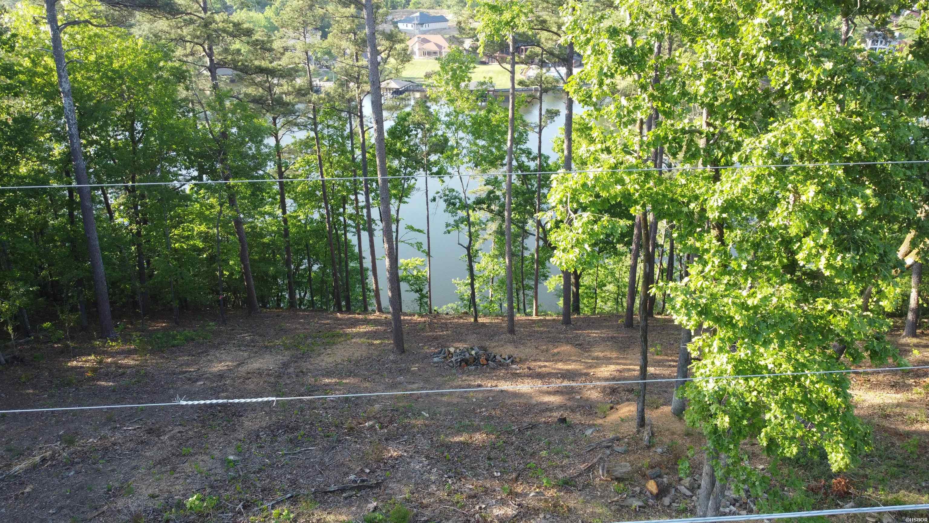 000a Lakeshore Property Photo 11