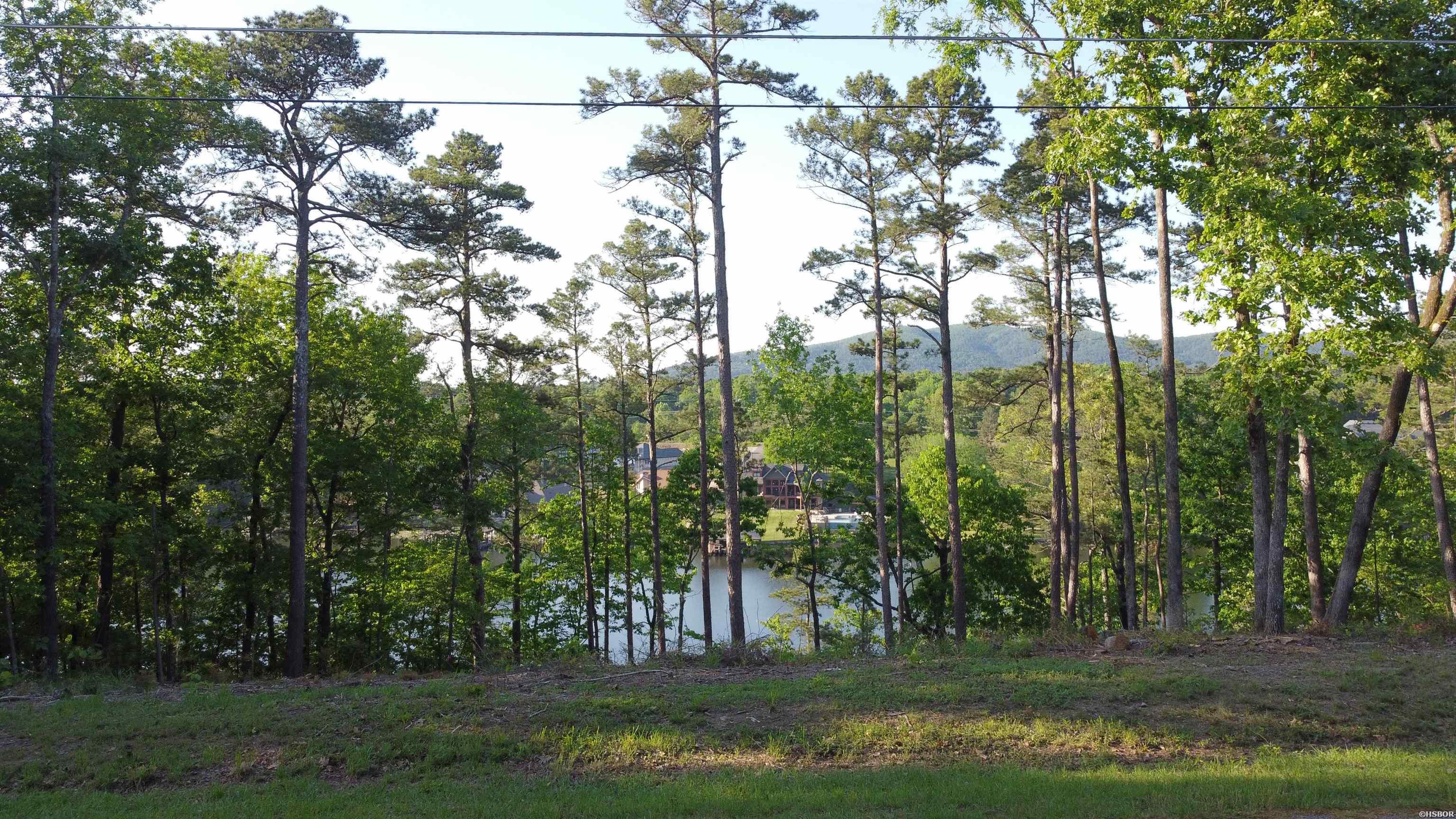 000b Lakeshore Property Photo 8