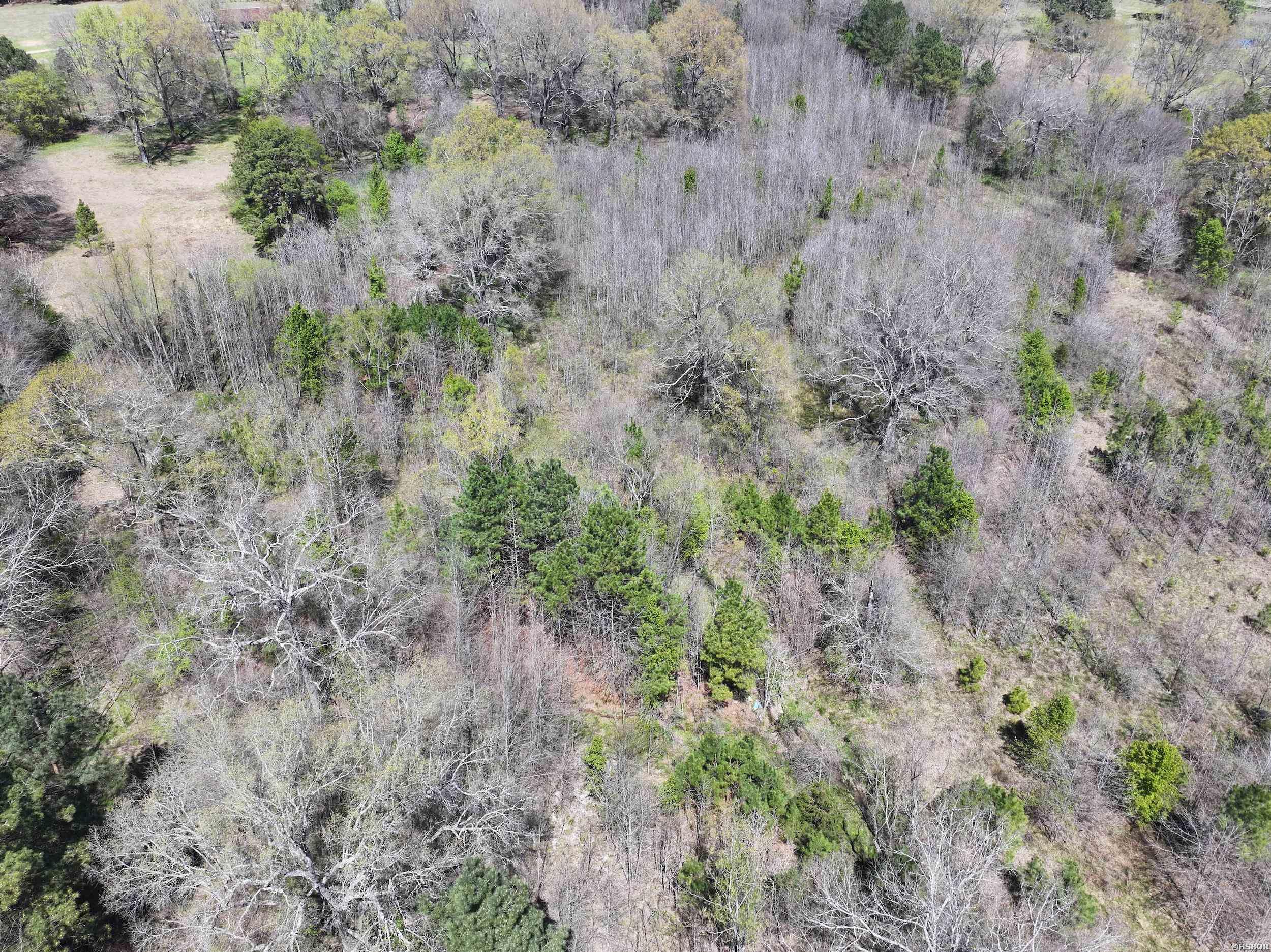 Tbd Bean Drive Property Photo 8