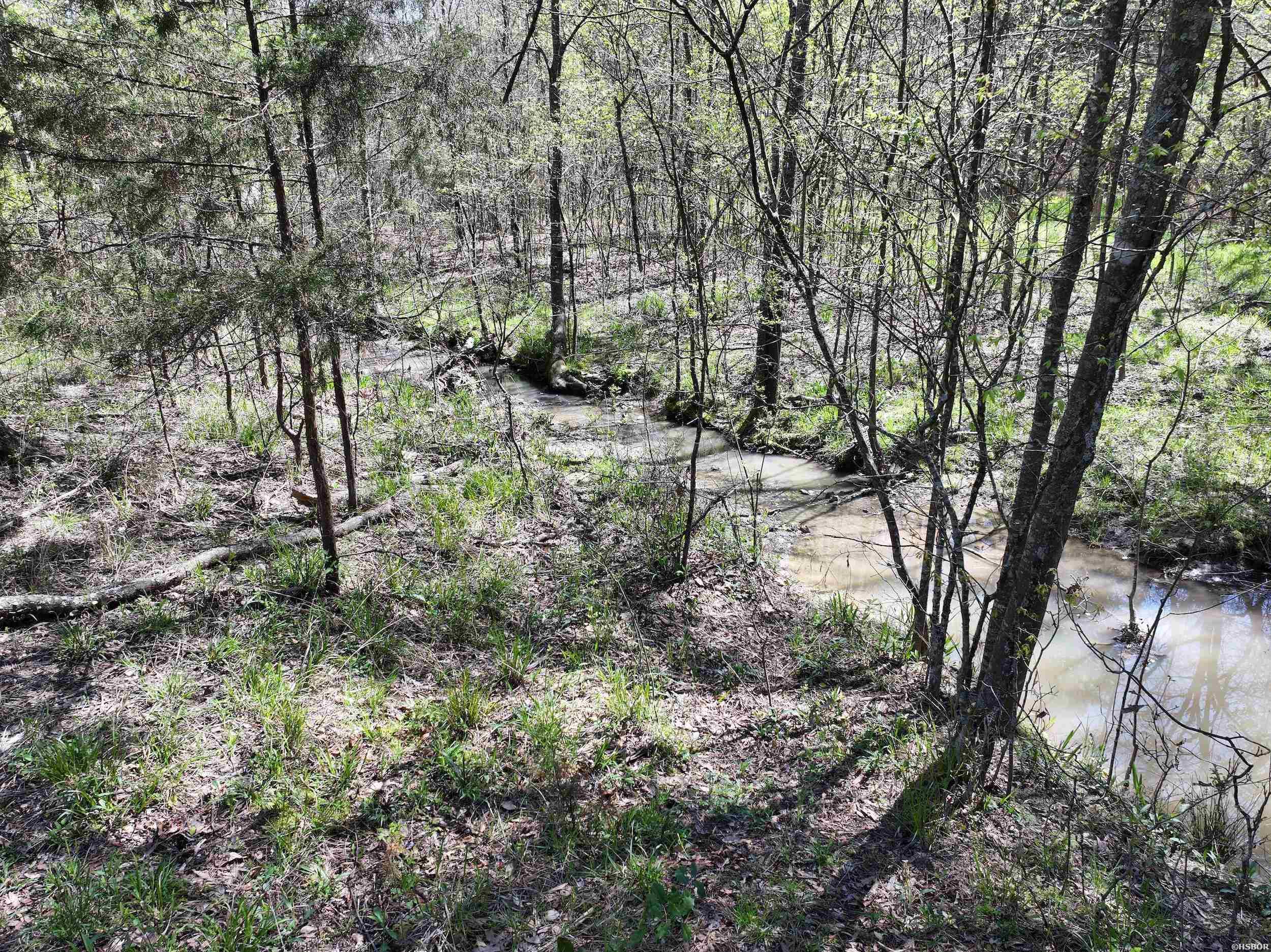 Tbd Bean Drive Property Photo 13