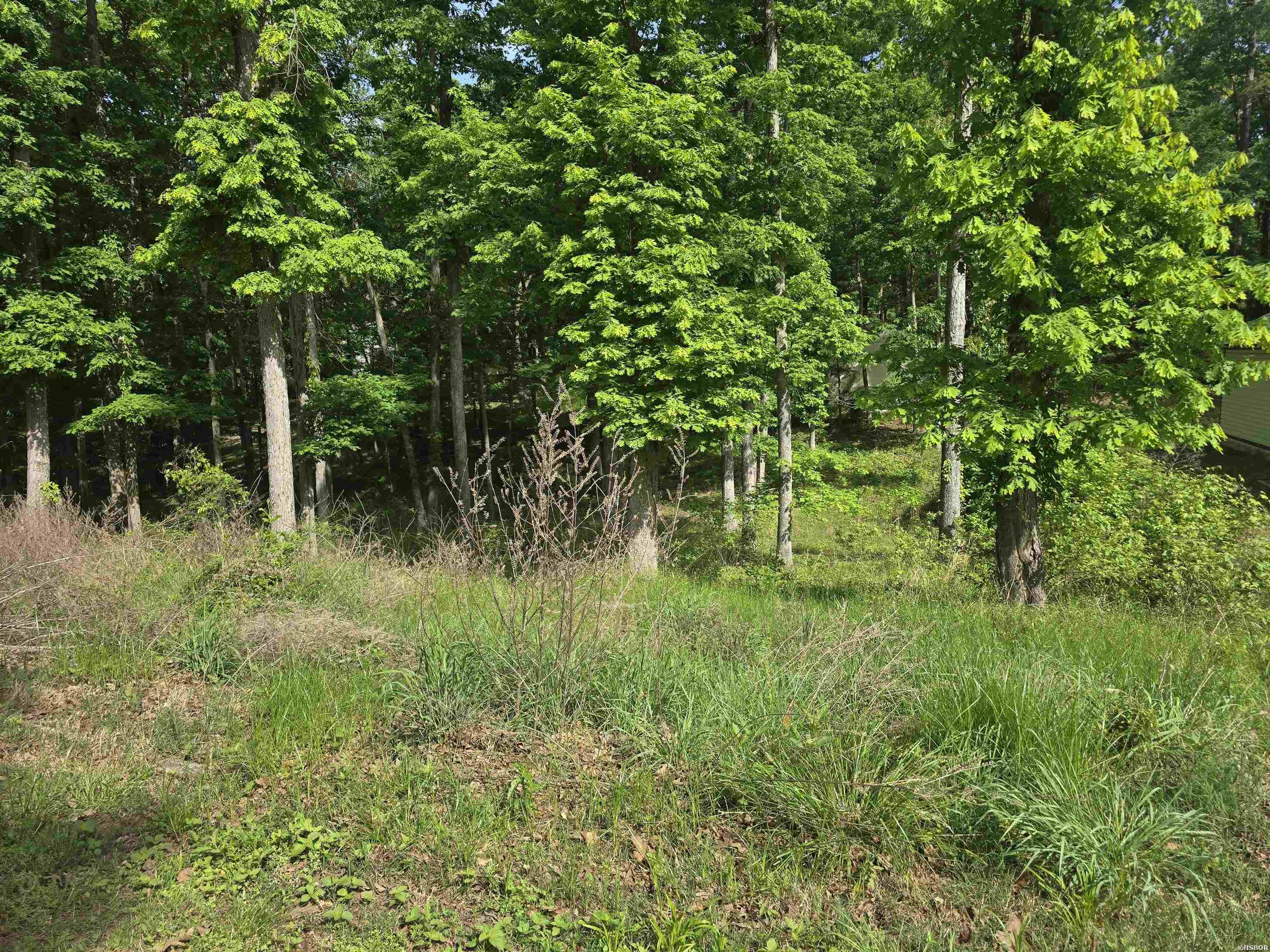Lot 1397 Stonebriar Property Photo 1