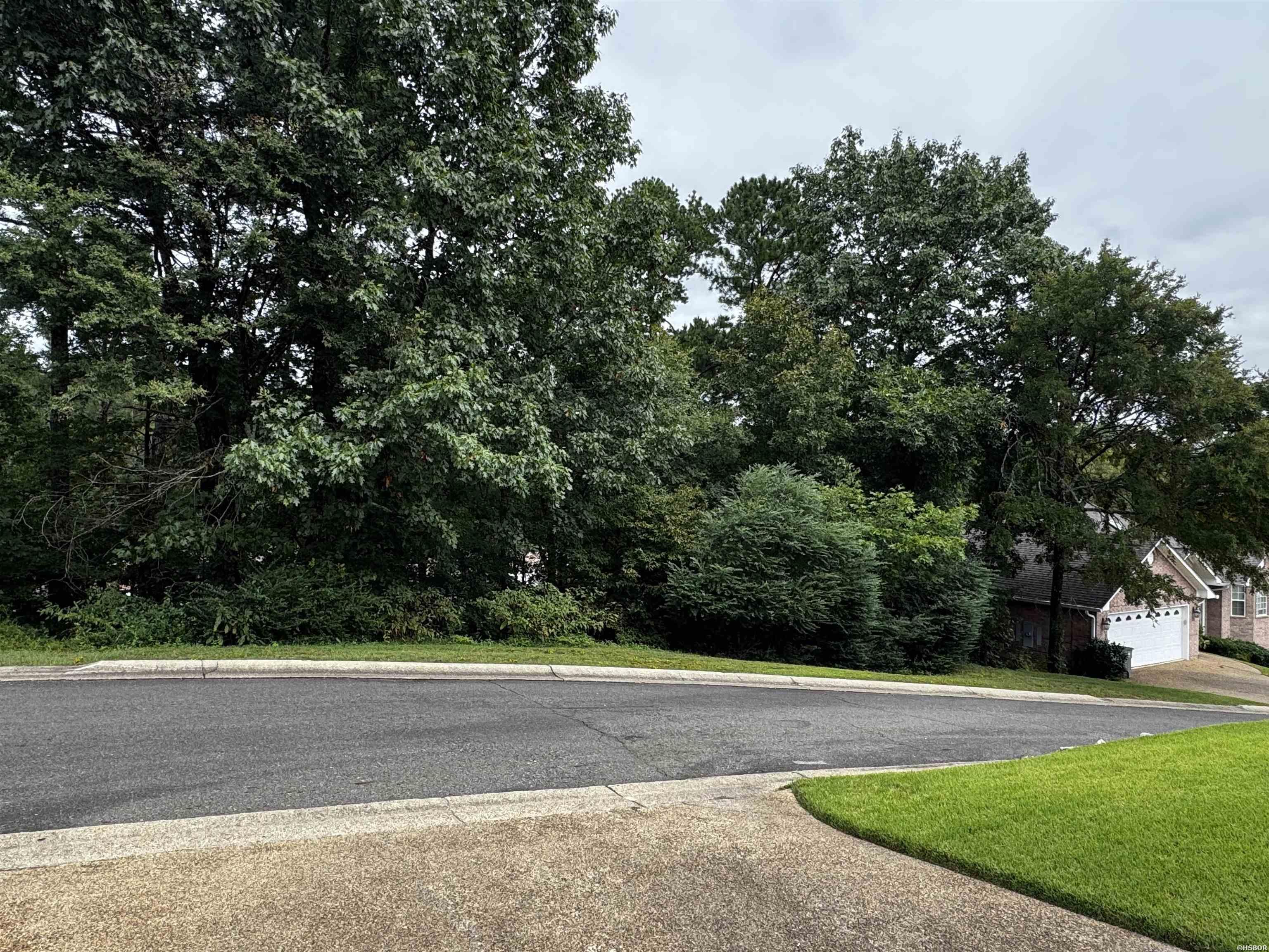 Lot 28 Forest View Circle Property Photo 1
