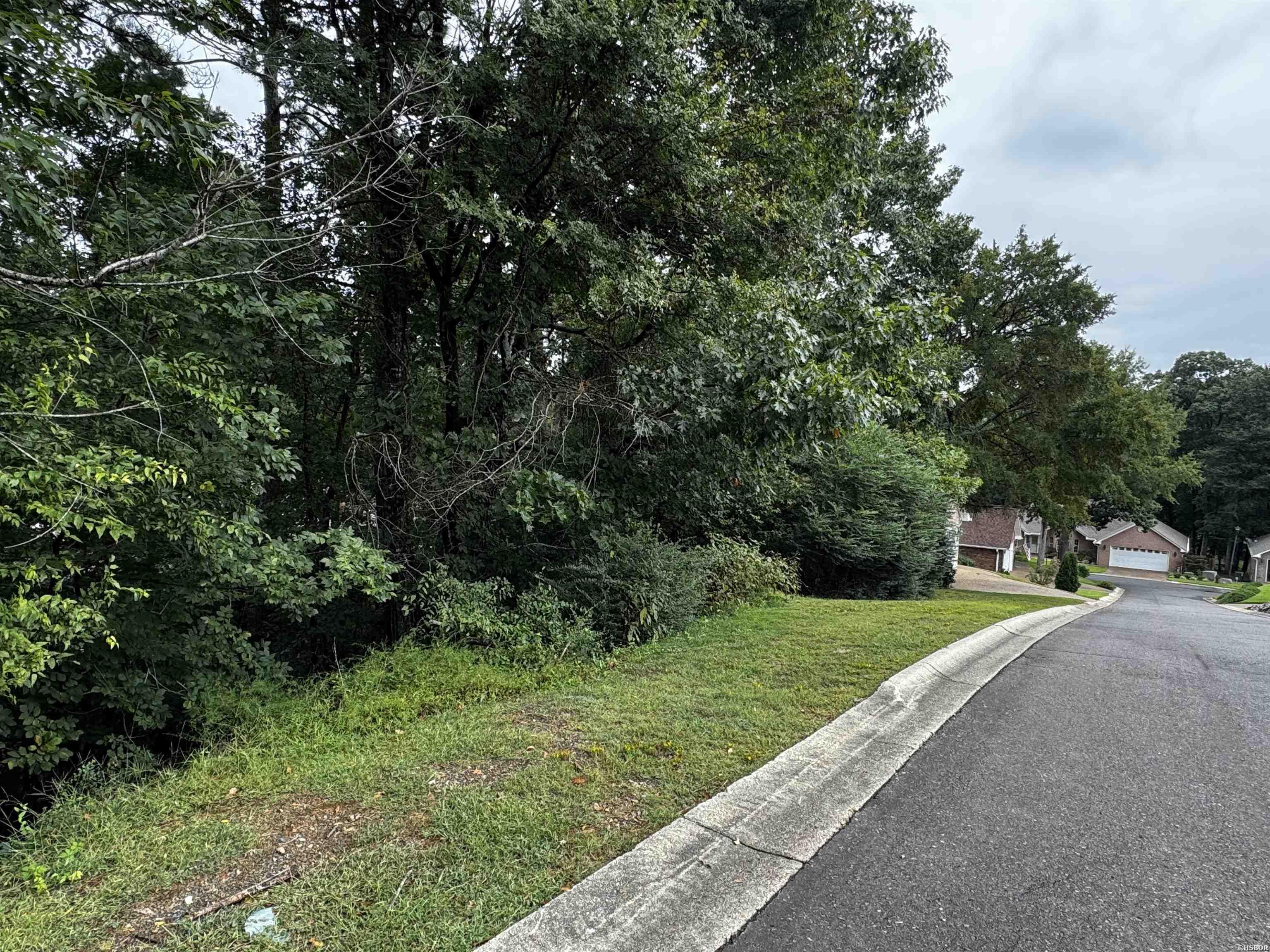 Lot 28 Forest View Circle Property Photo 2