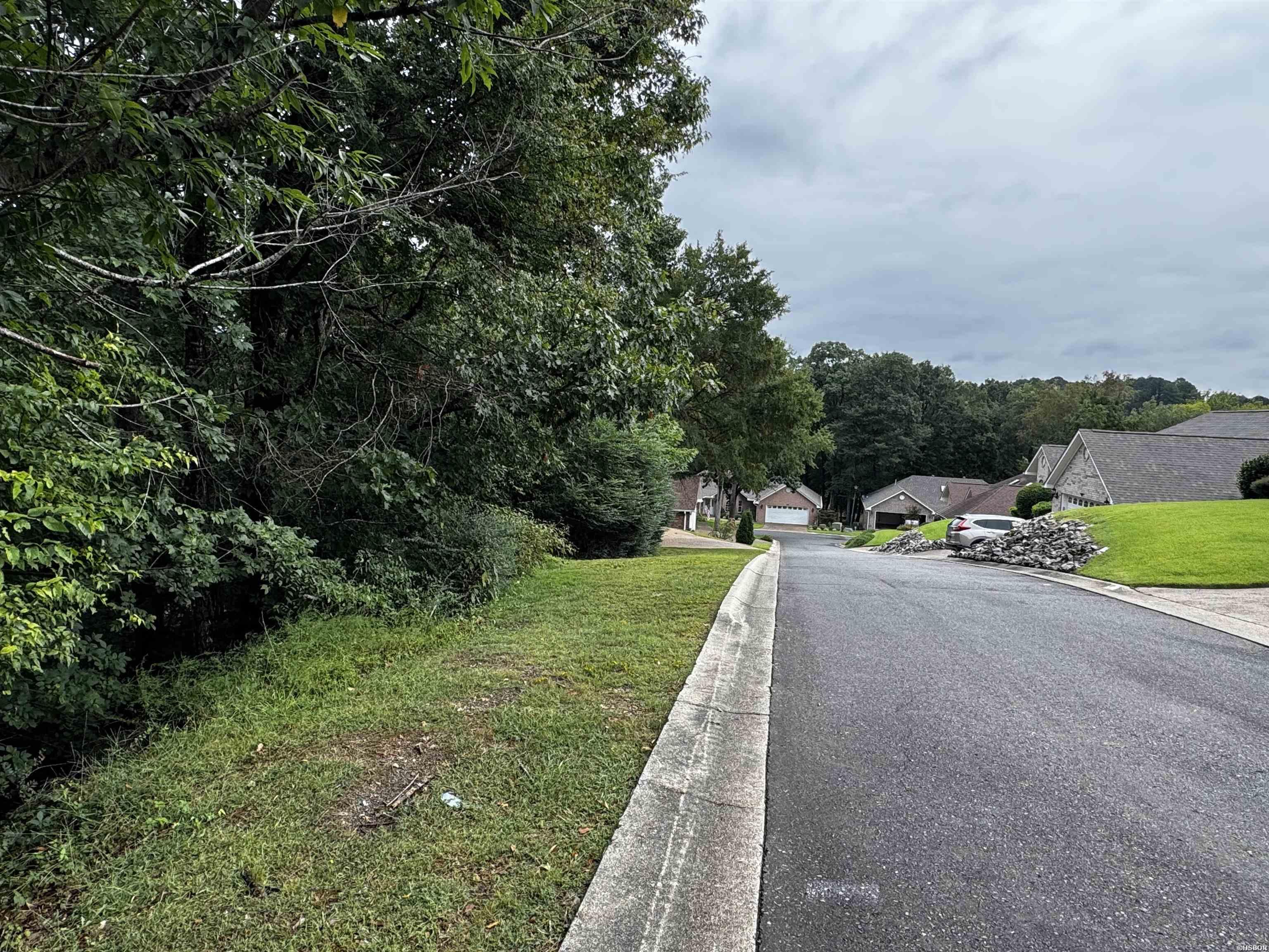 Lot 28 Forest View Circle Property Photo 3