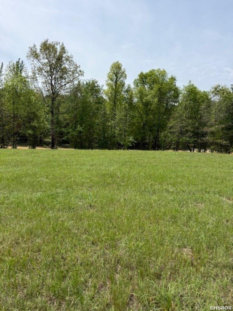 TBD MADDOX Court Property Photo 1