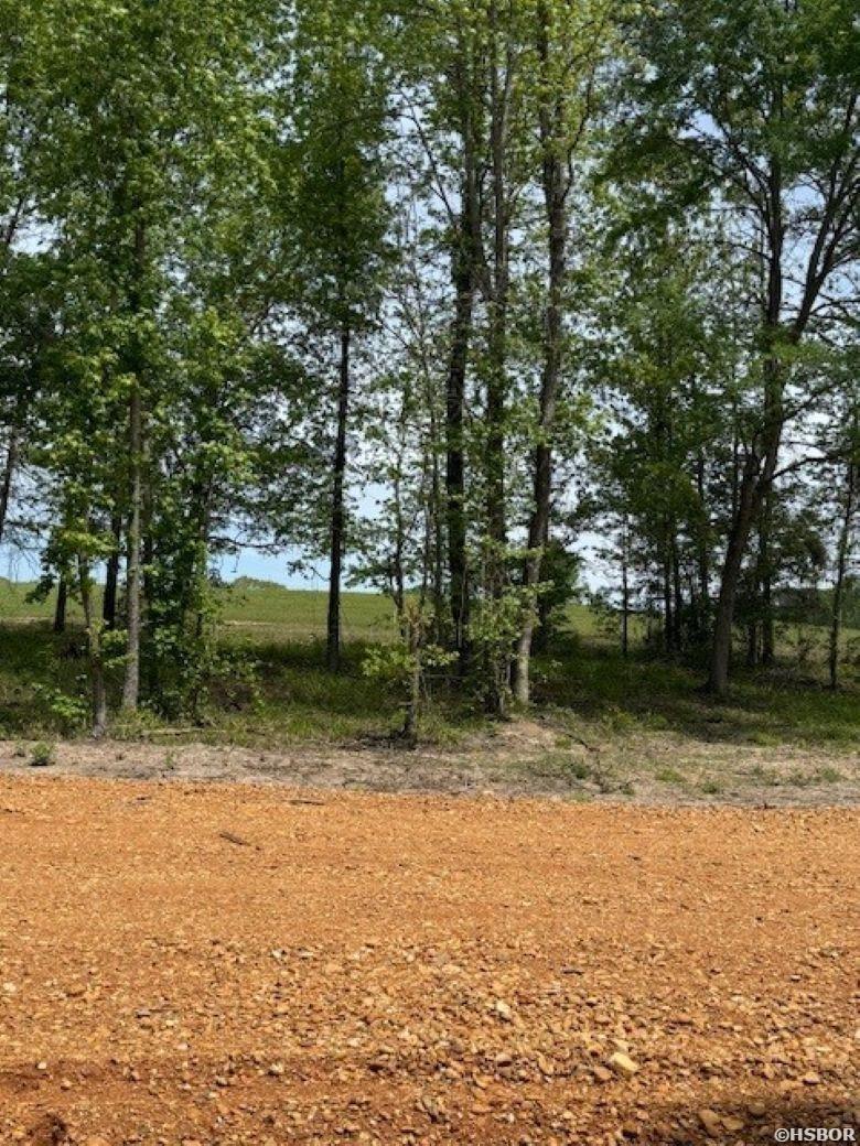 Tbd Maddox Court Property Photo 2