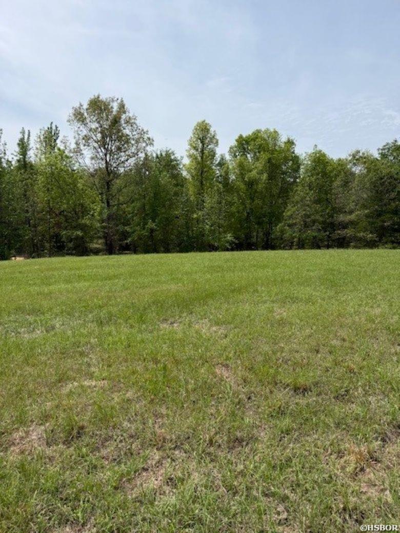 Tbd Maddox Court Property Photo 4