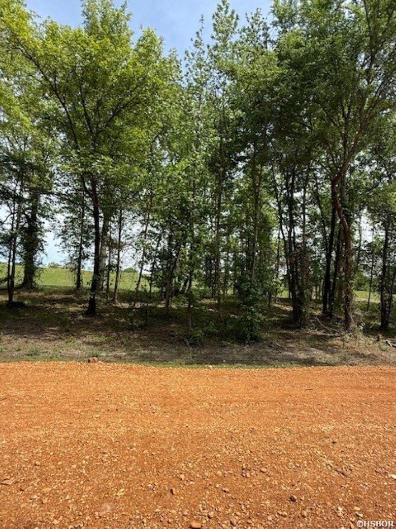 Tbd Maddox Court Property Photo 16