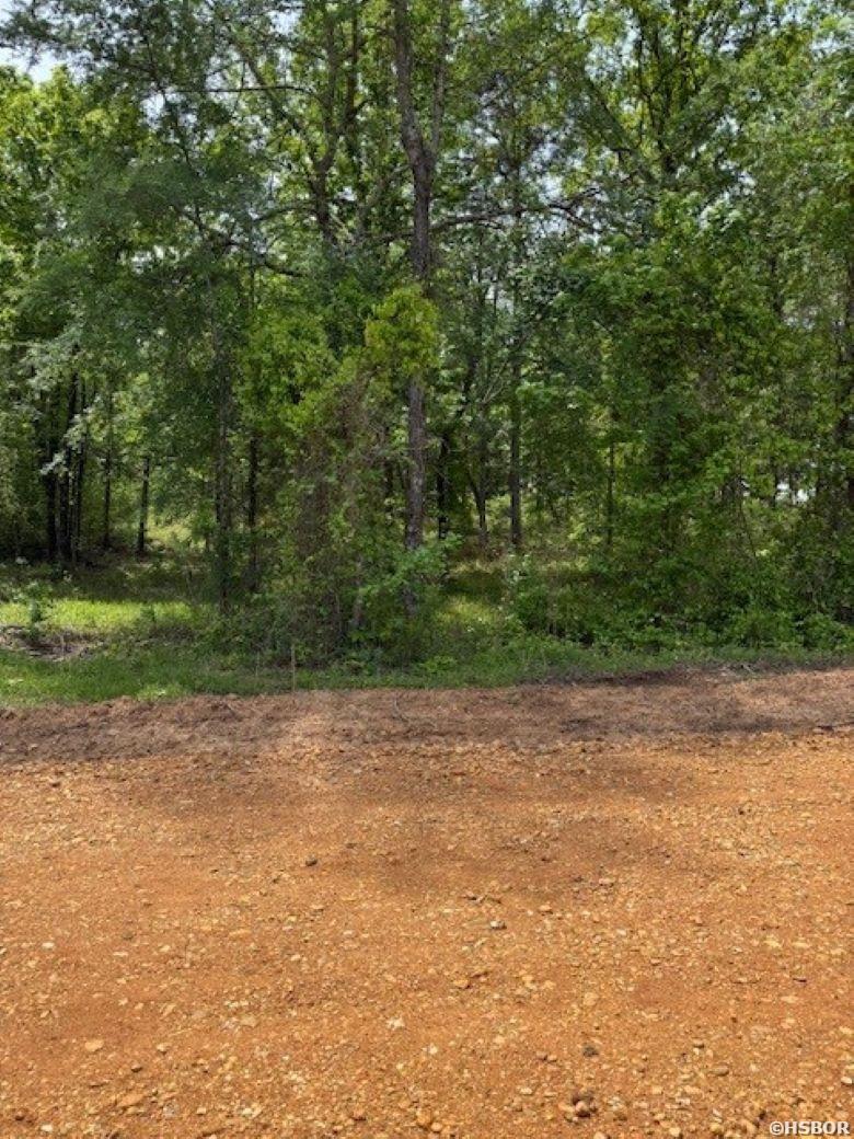 Tbd Maddox Court Property Photo 2