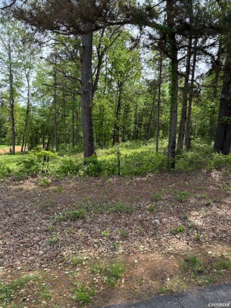 Tbd Maddox Court Property Photo 3